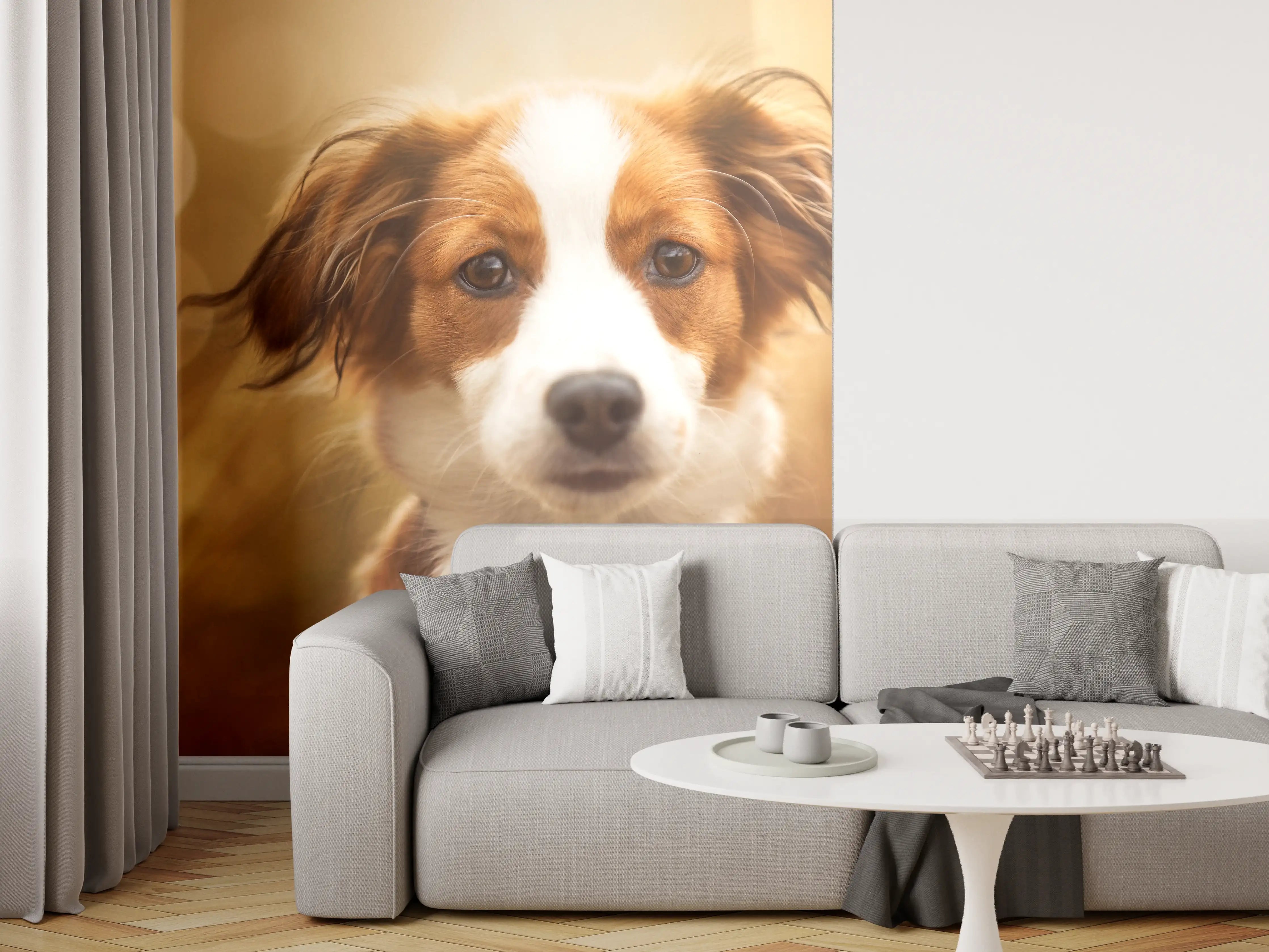 Wandverkleidung Wohnzimmer - Portrait eines süßen Kooiker Hundes