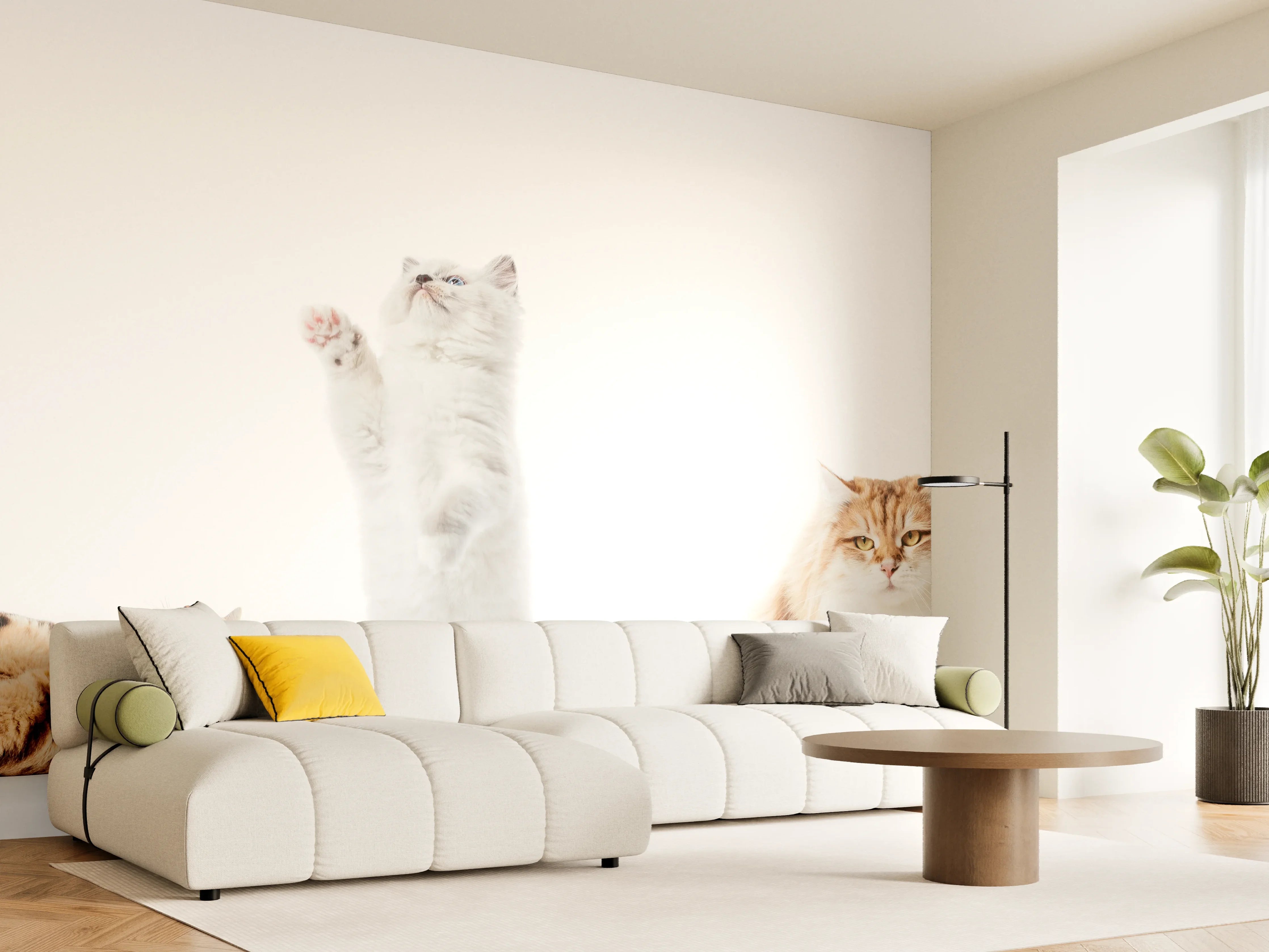 Wandverkleidung Wohnzimmer - Reinrassige Katzen Weiß-Sammlung