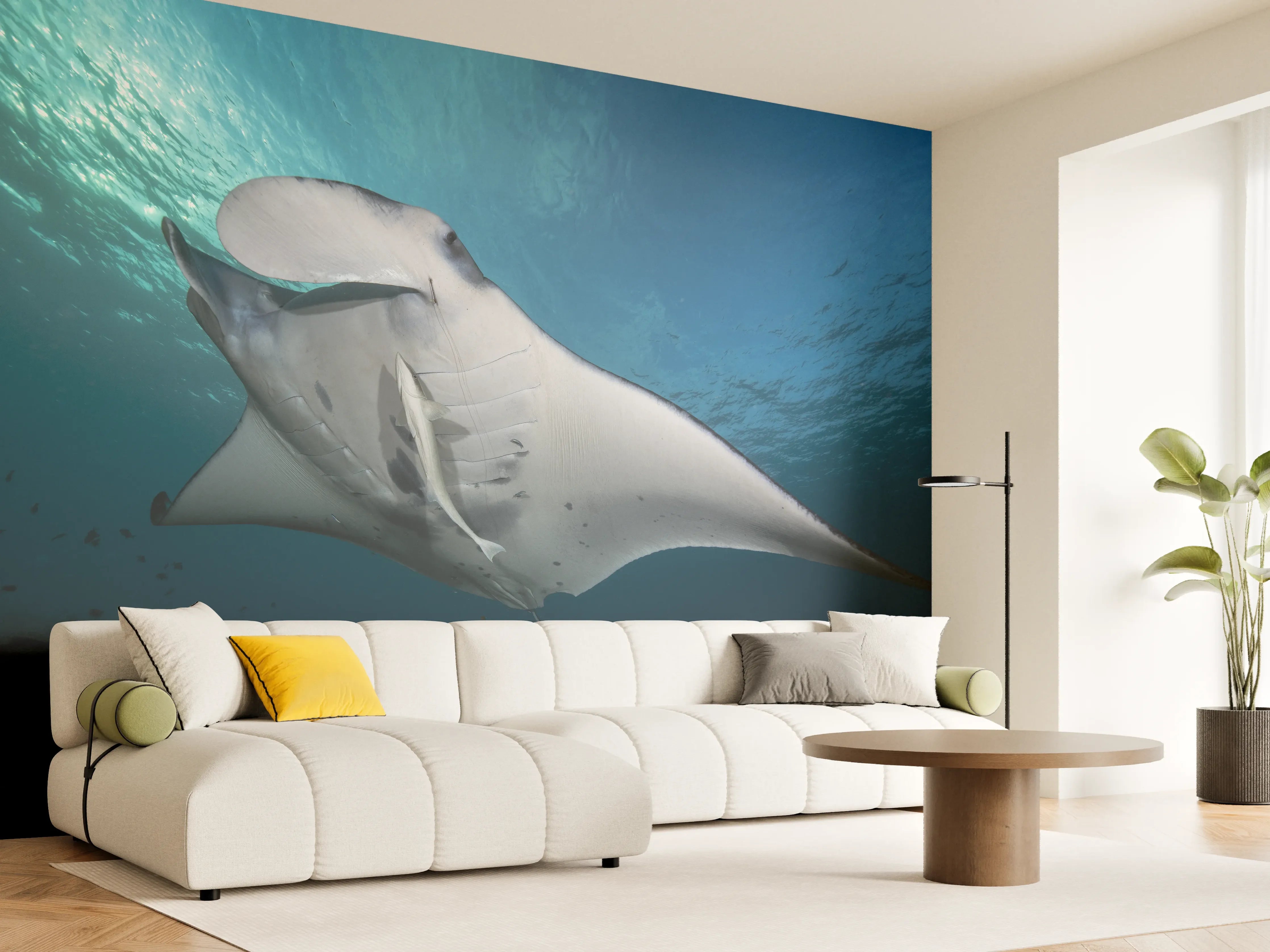 Wandverkleidung Wohnzimmer - Riff-Manta Unterwasser