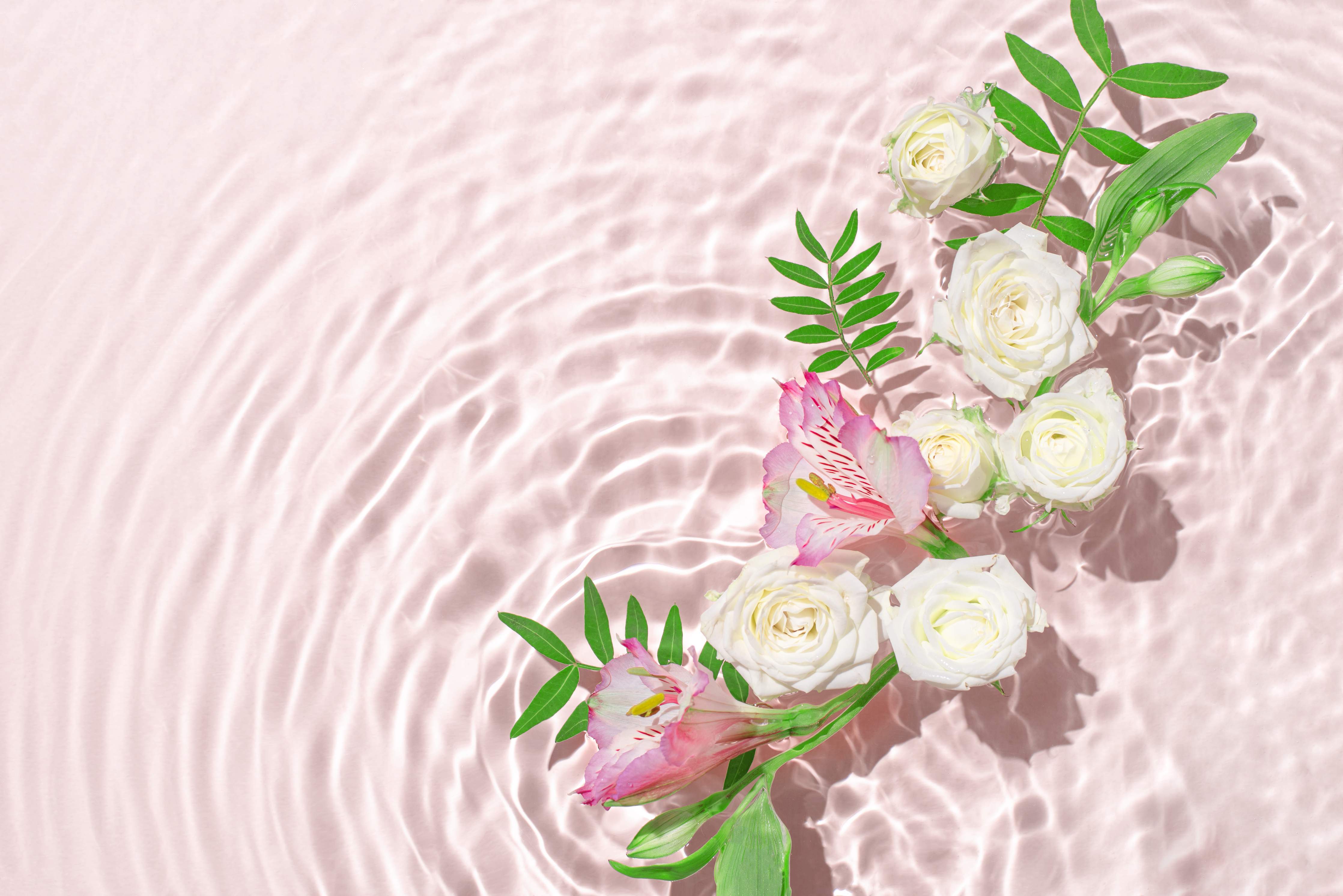 Wandverkleidung Wohnzimmer-Rosa Blumen auf Wasser
