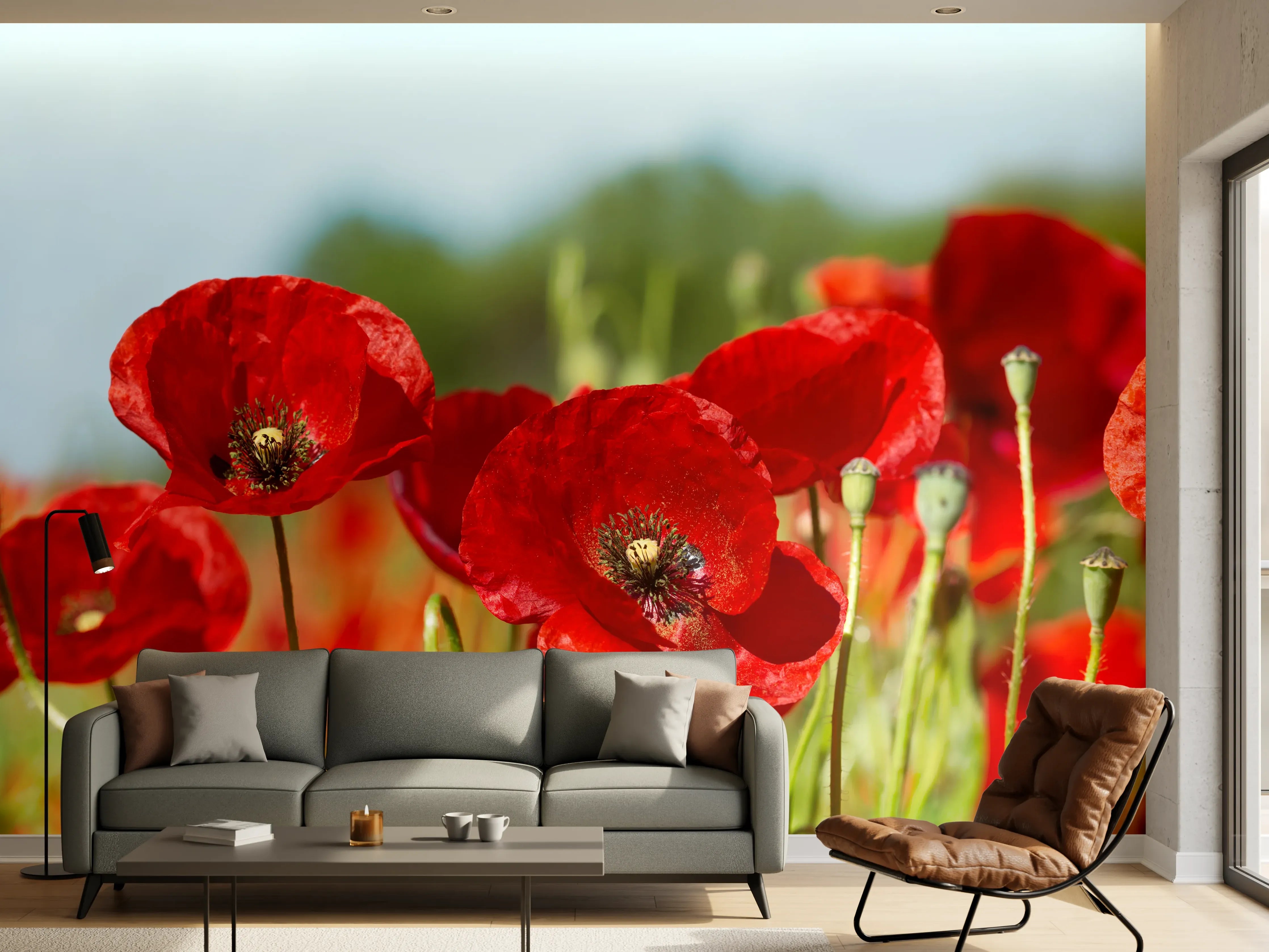 Wandverkleidung Wohnzimmer - Rote Mohnblumen auf einem Feld