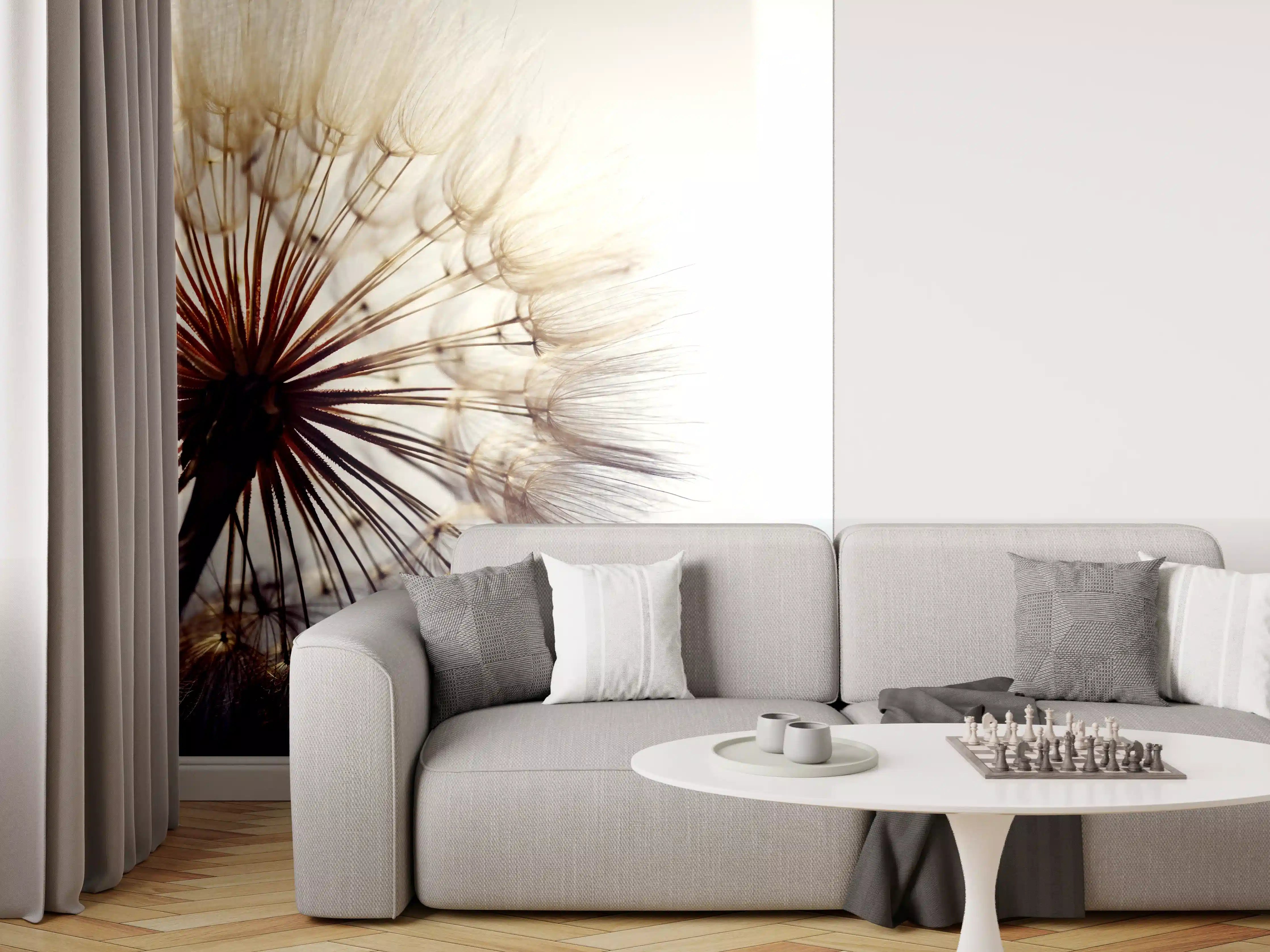 Wandverkleidung Wohnzimmer - Sanfte Pusteblume im Gegenlicht