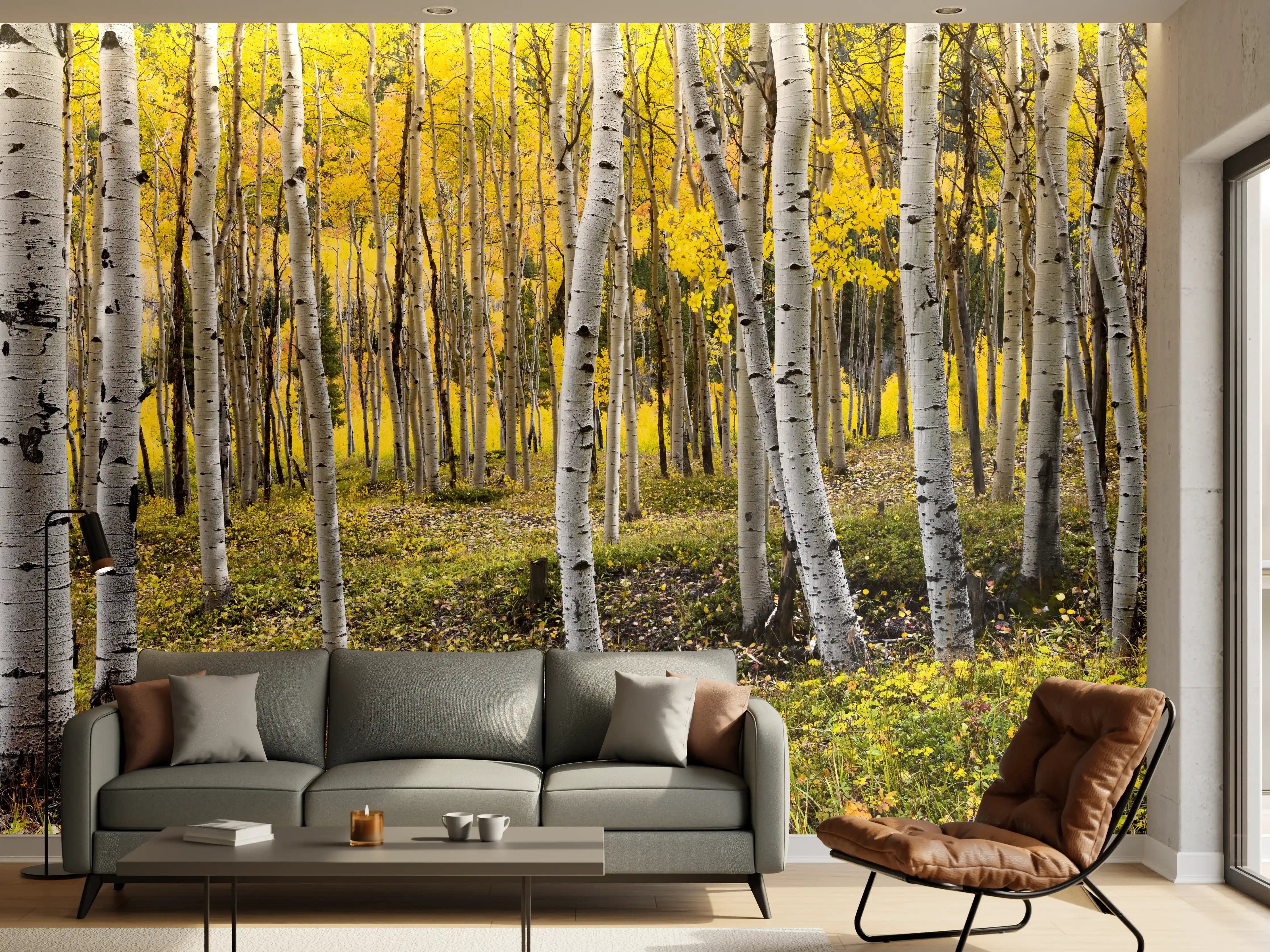 Wandverkleidung Wohnzimmer - Sanfter Birkenhain im grauen Herbst