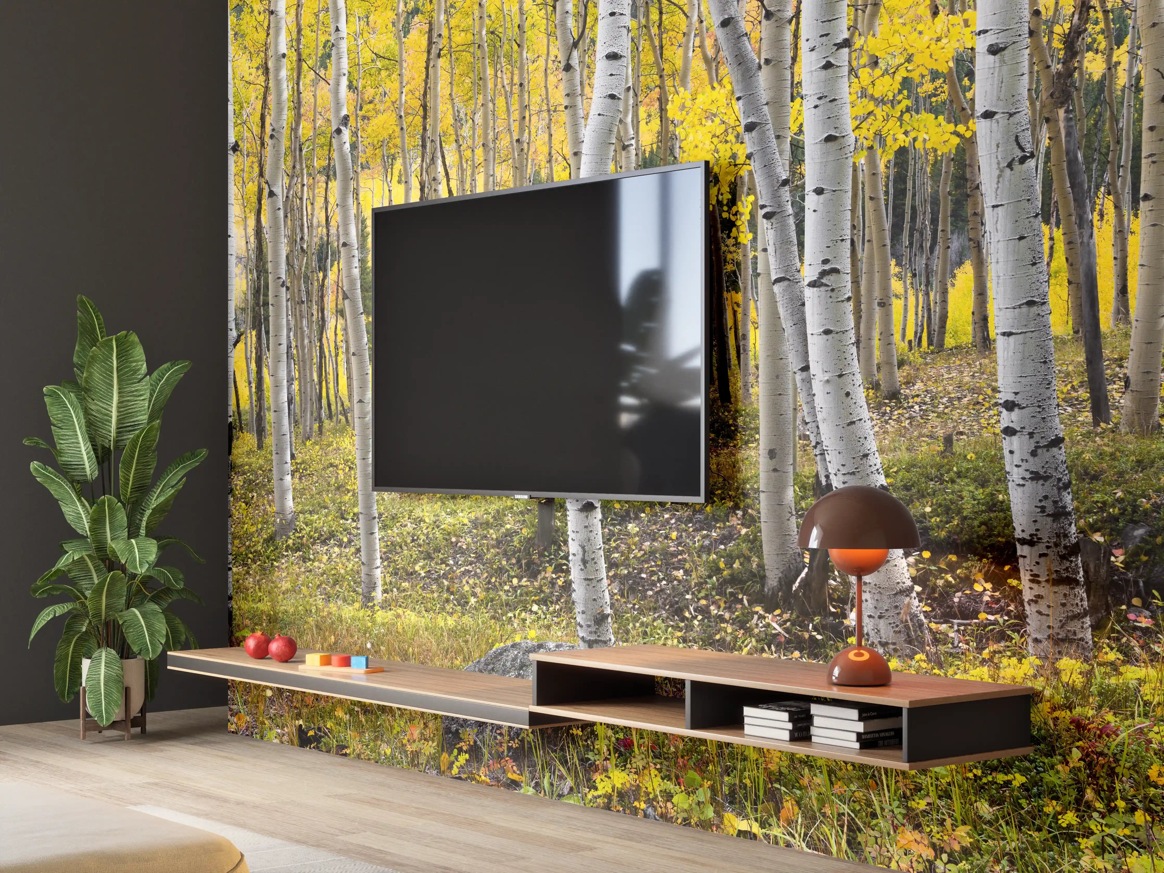 Wandverkleidung Wohnzimmer - Sanfter Birkenhain im grauen Herbst