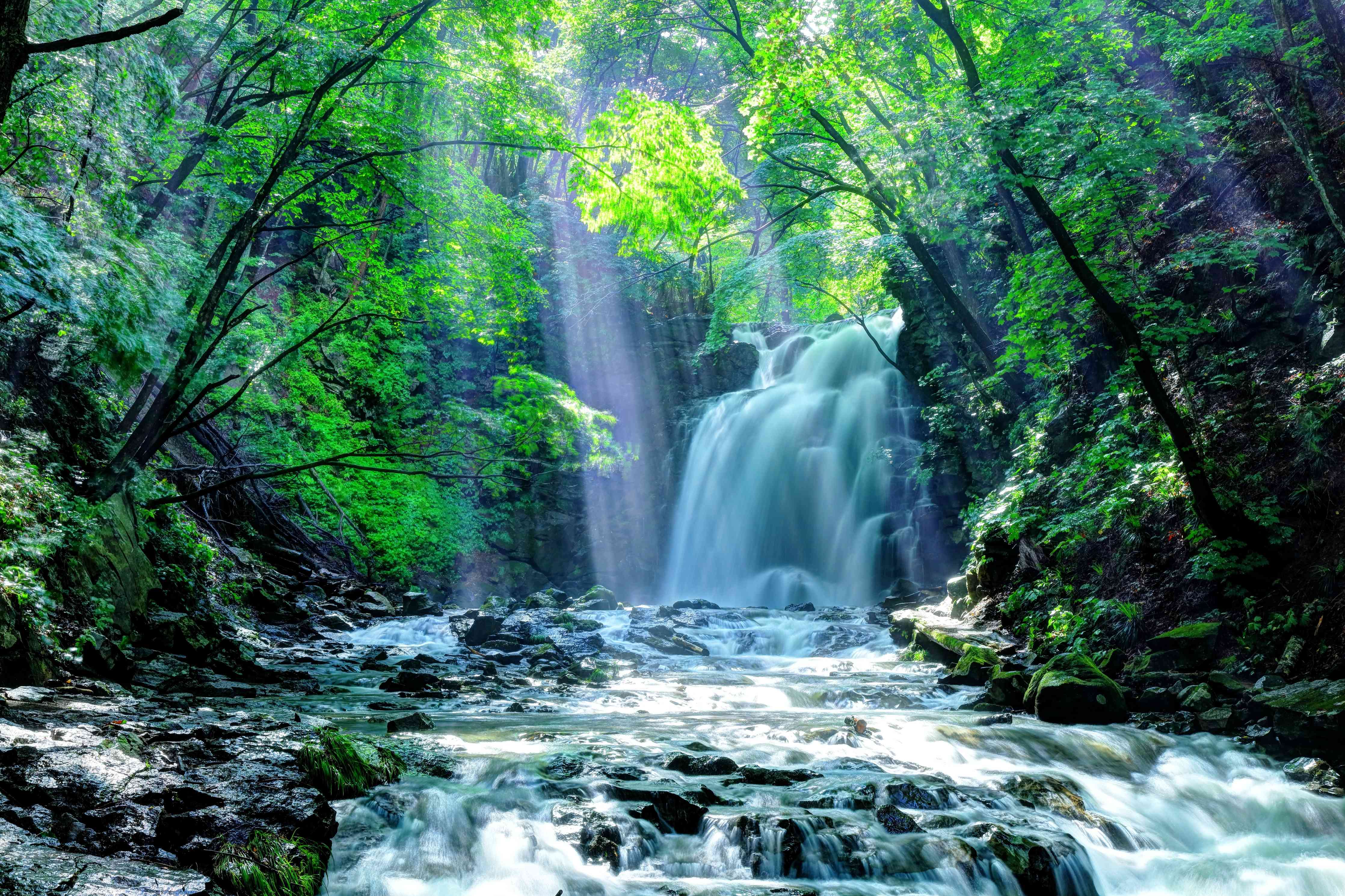 Wandverkleidung Wohnzimmer-Sanfter Wasserfall im grauen Morgengrauen