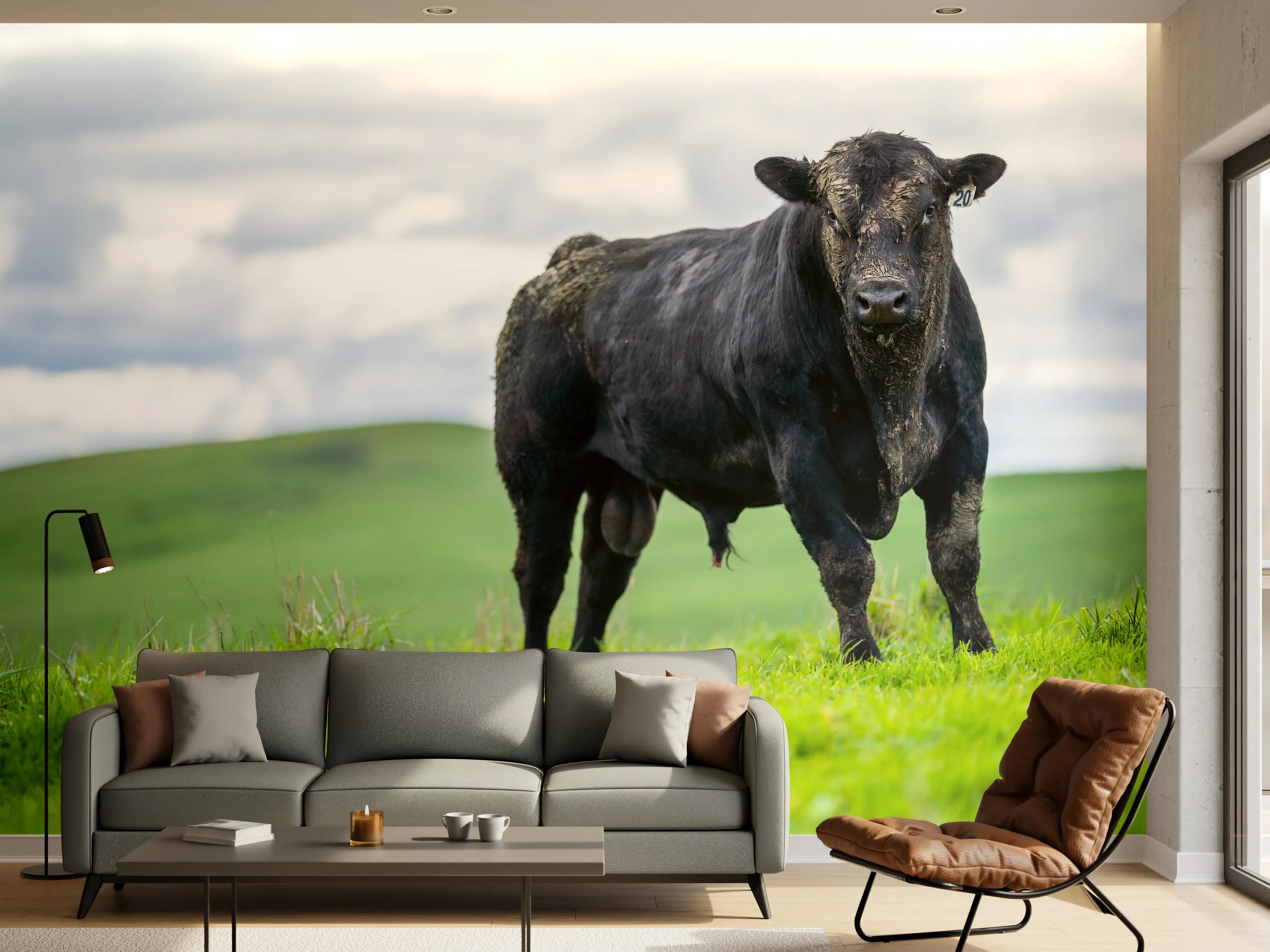 Wandverkleidung Wohnzimmer - Schmutziger Aberdeen Angus