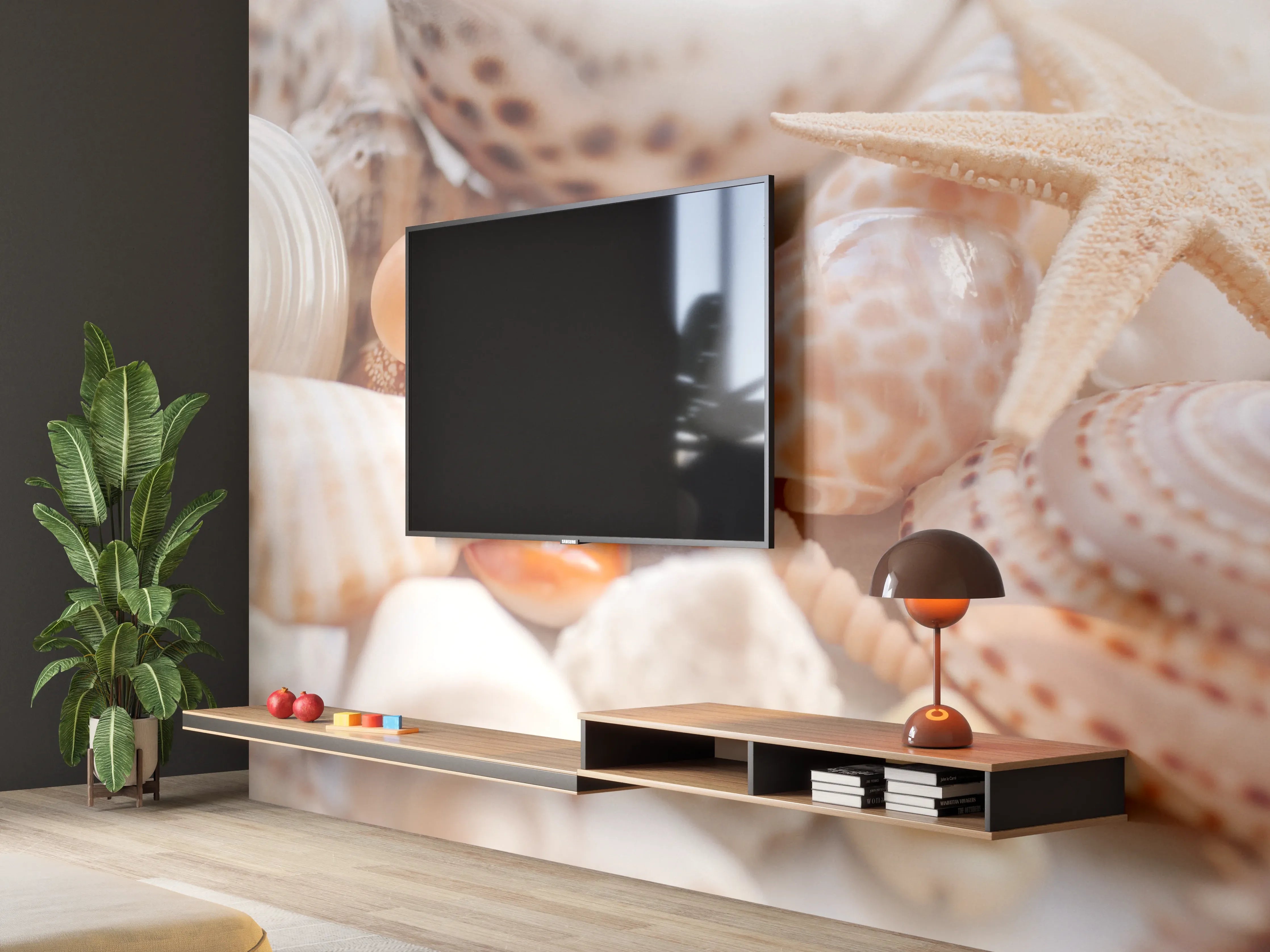 Wandverkleidung Wohnzimmer - Schöne Muschelsammlung
