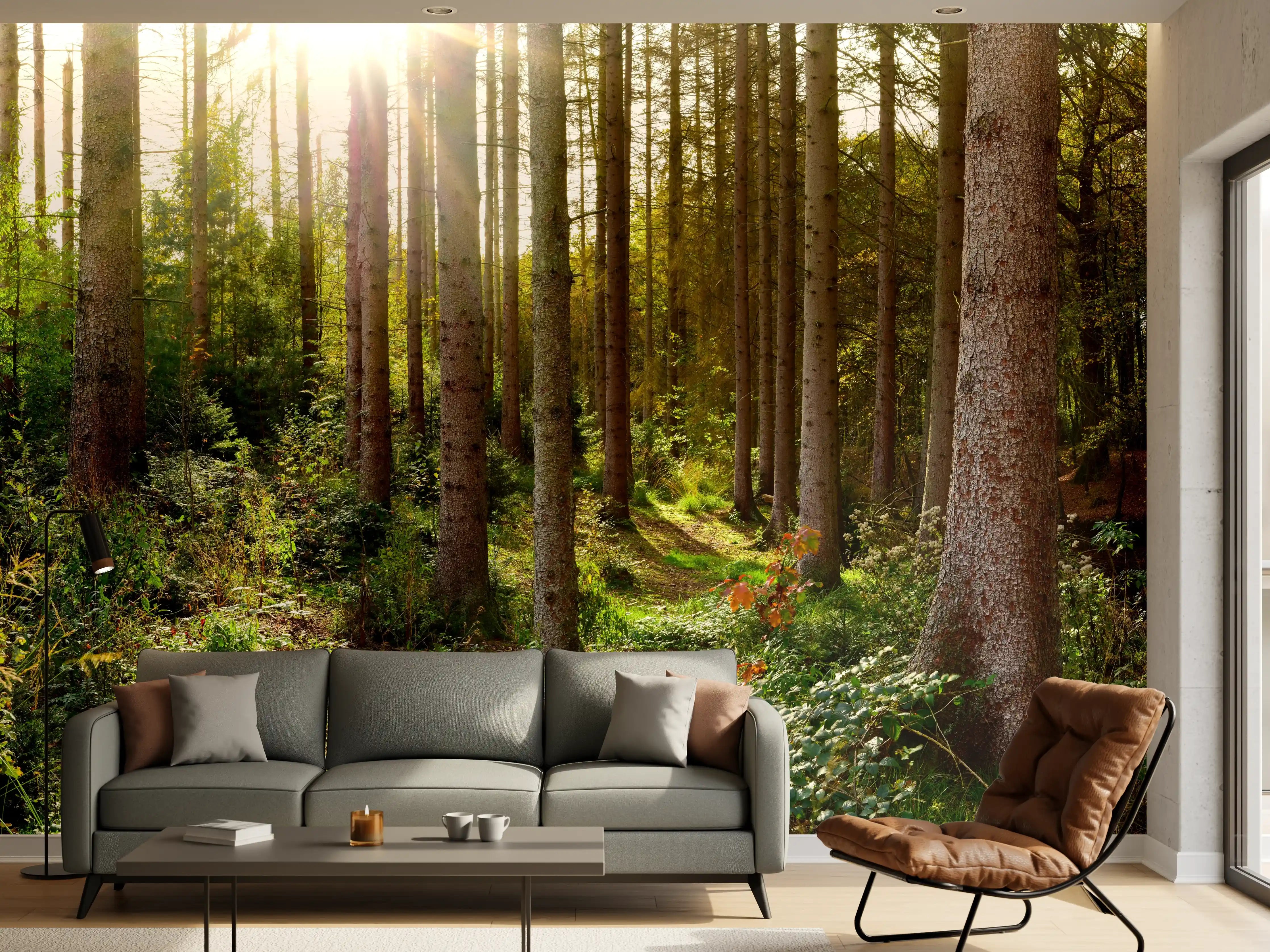 Wandverkleidung Wohnzimmer - Schöner Fichtenwald im Herbst