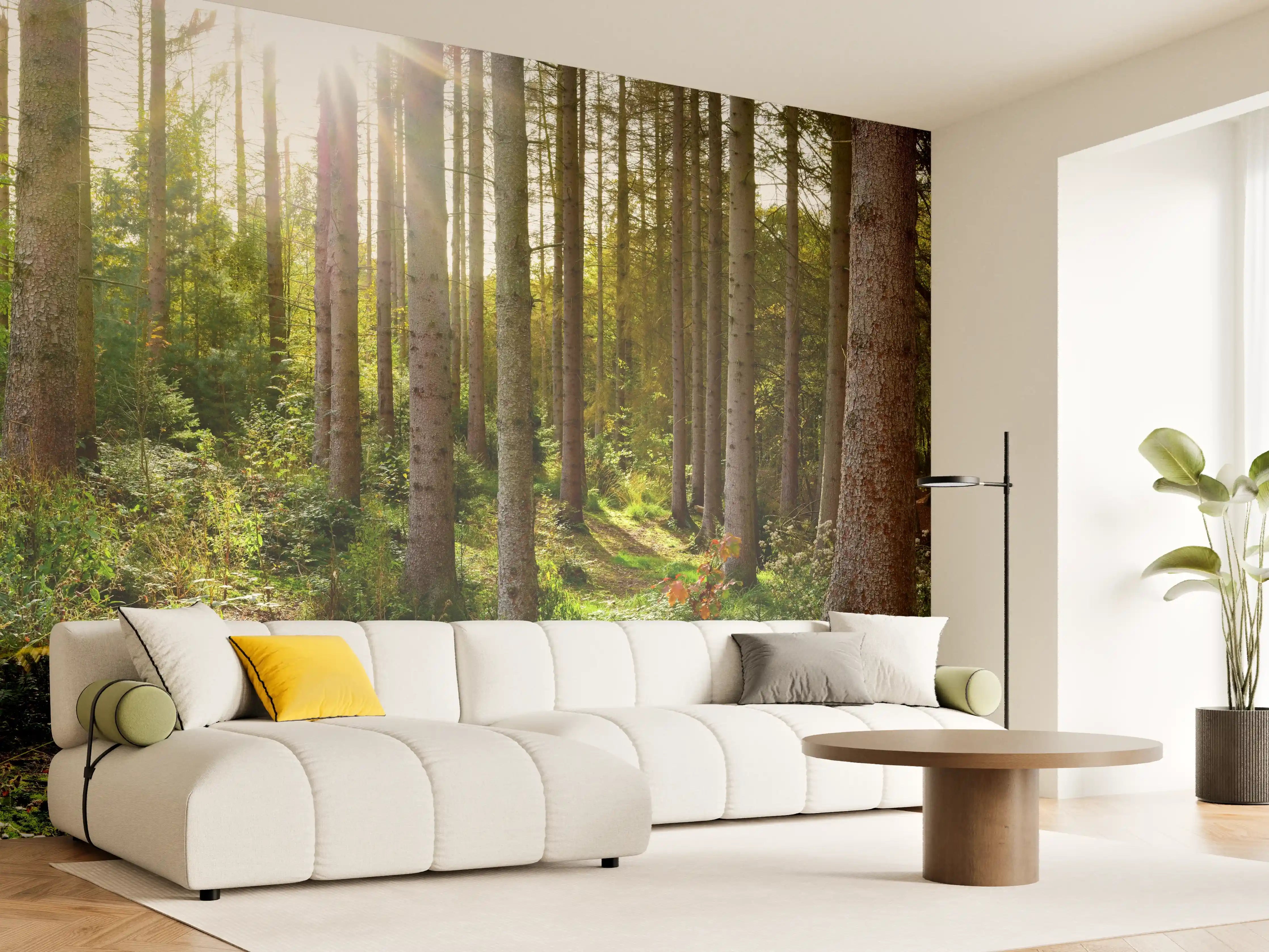 Wandverkleidung Wohnzimmer - Schöner Fichtenwald im Herbst