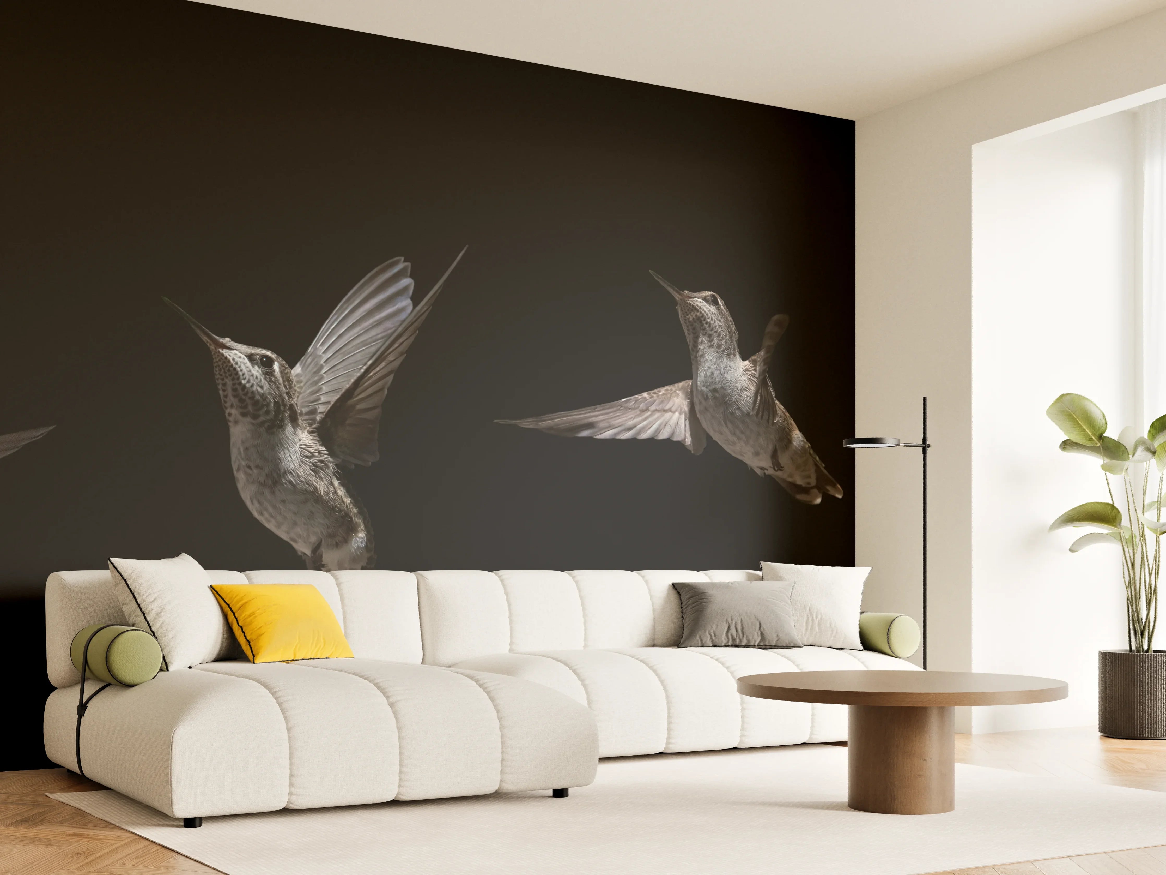 Wandverkleidung Wohnzimmer - Schwarzkinnkolibri Vogel mit Schwarzem Hintergrund