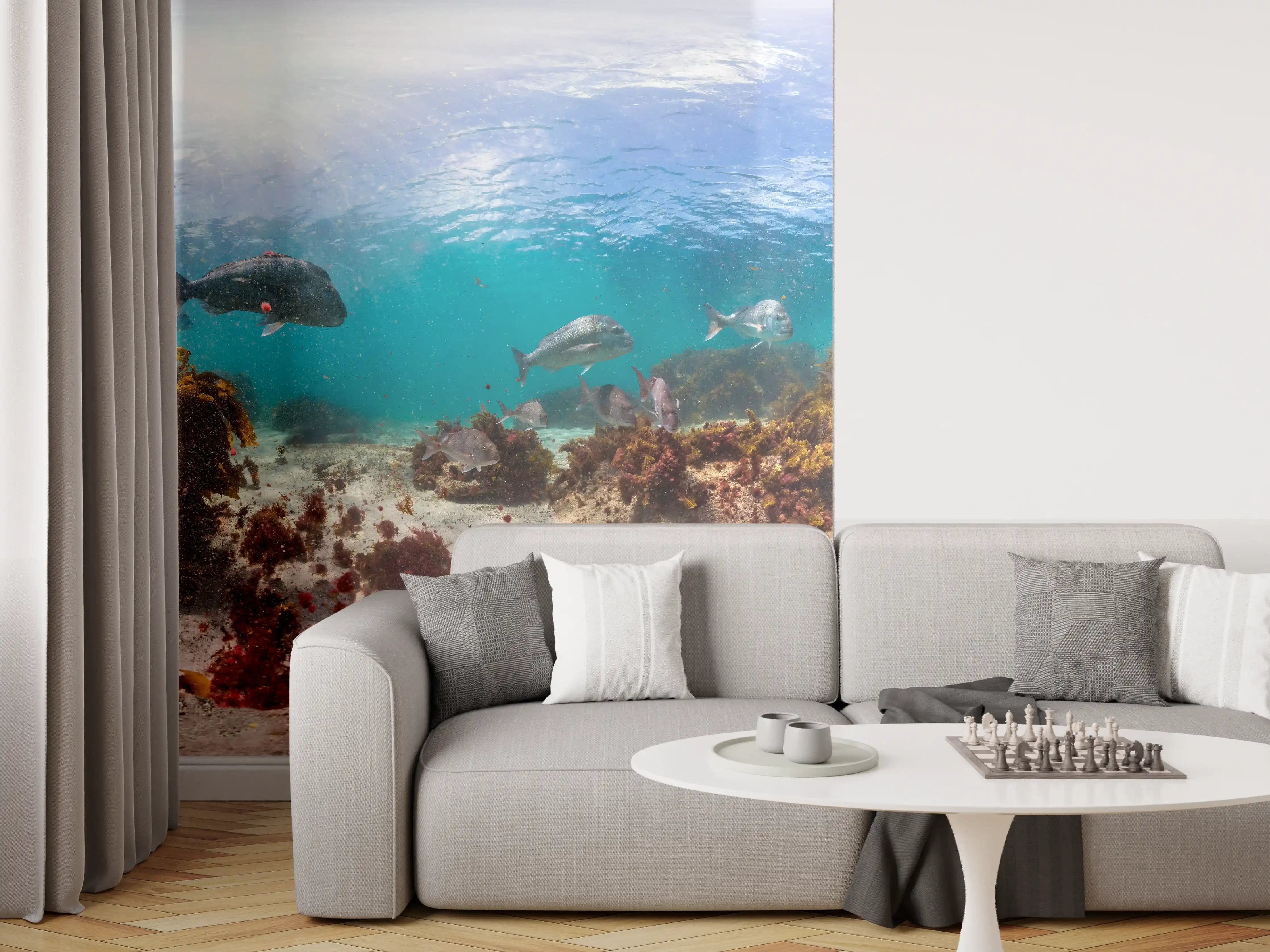 Wandverkleidung Wohnzimmer - Seetang und Fisch in Neuseeland