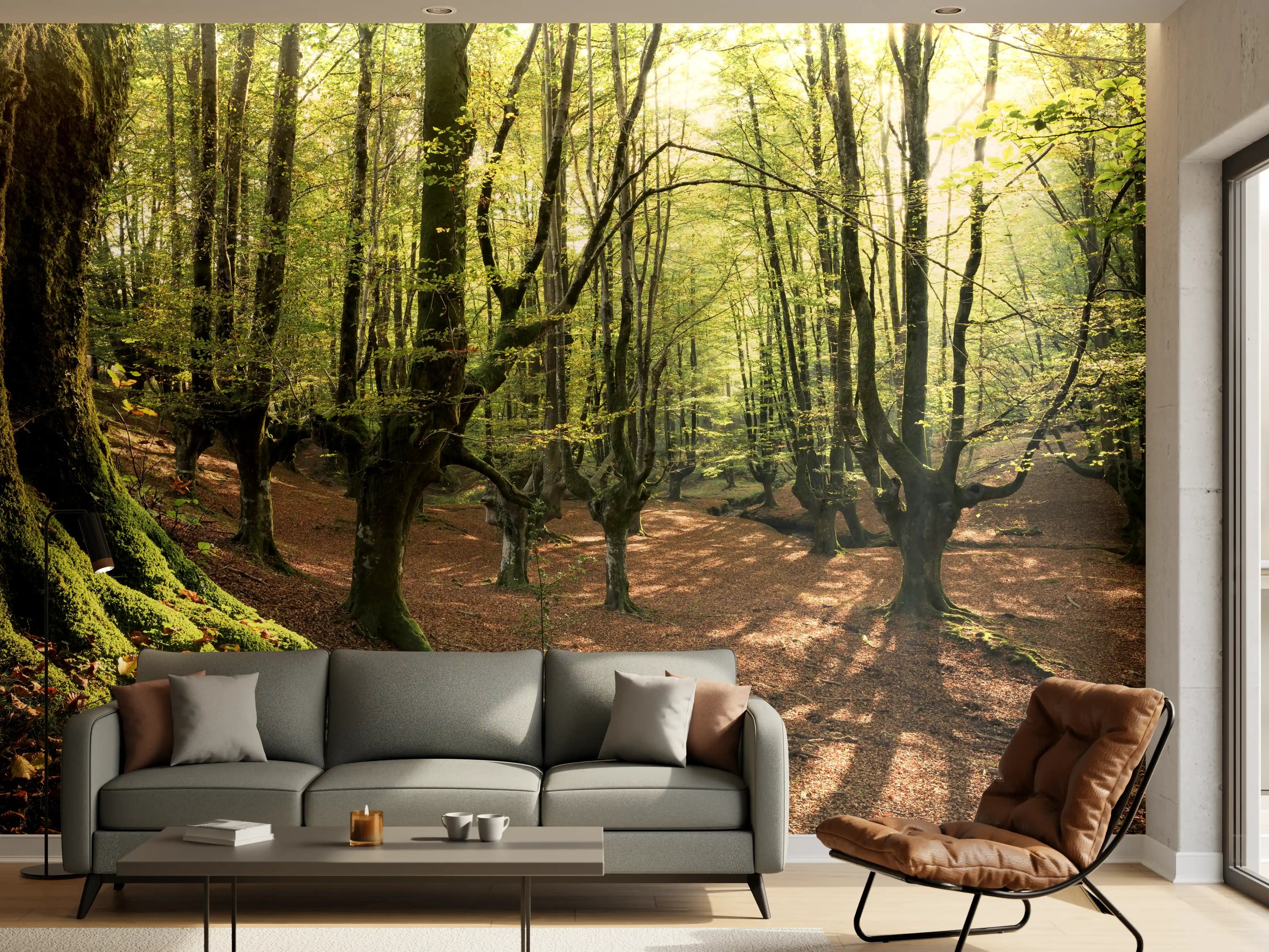 Wandverkleidung Wohnzimmer - Silberne Sonnenstrahlen im Baumdunkel