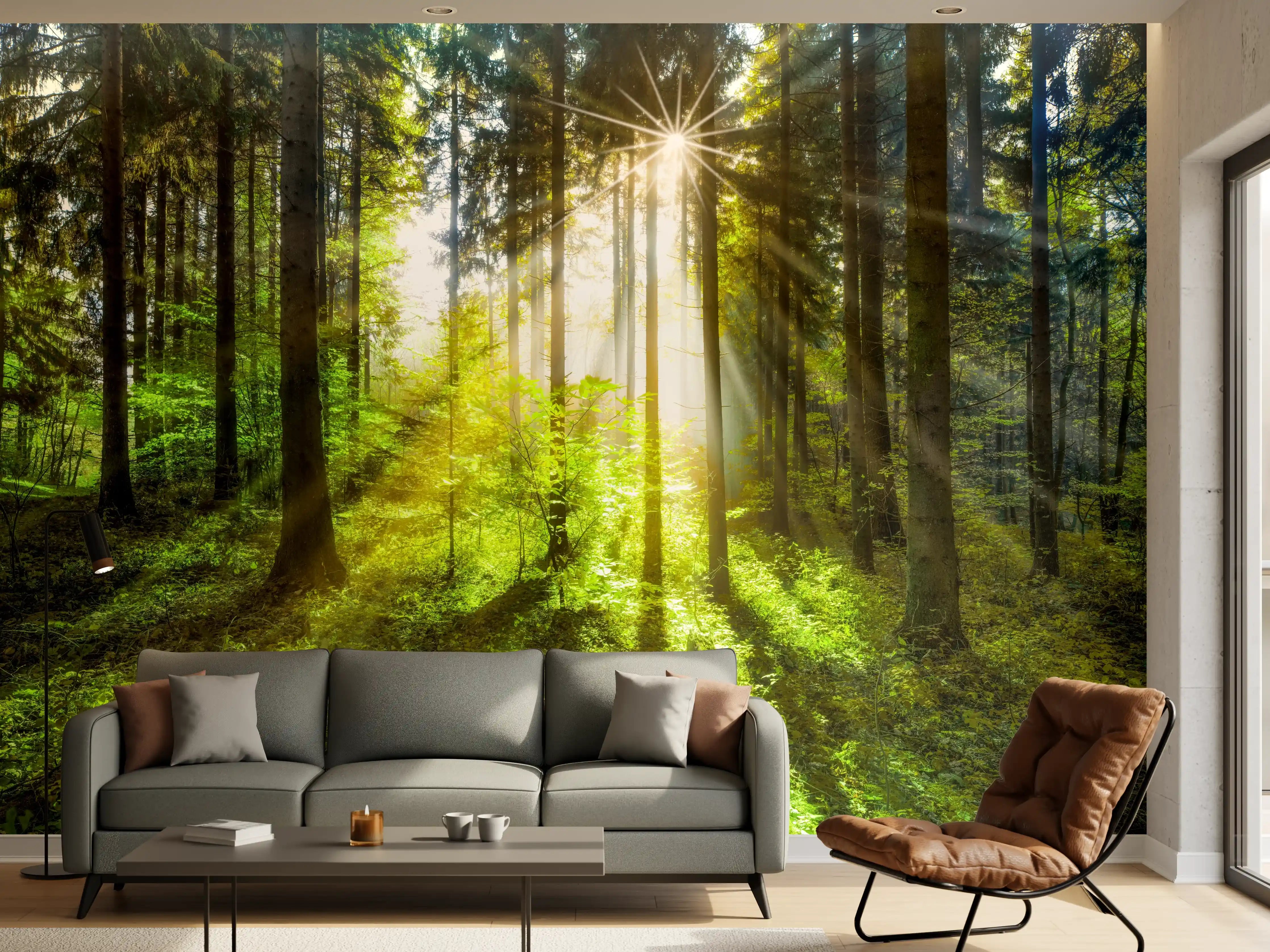 Wandverkleidung Wohnzimmer - Sonnenstrahlen im lebendigem Wald 