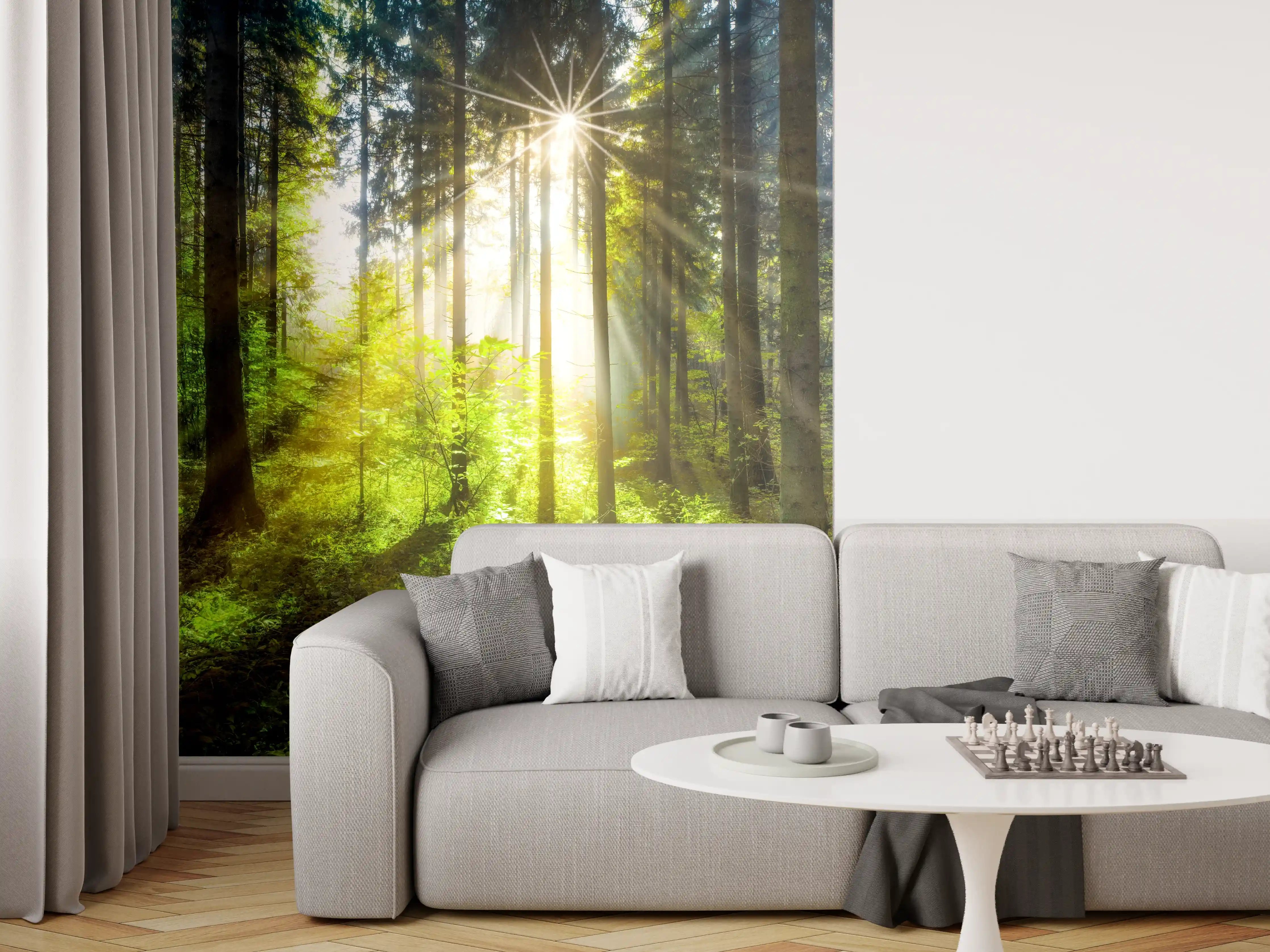 Wandverkleidung Wohnzimmer - Sonnenstrahlen im lebendigem Wald 