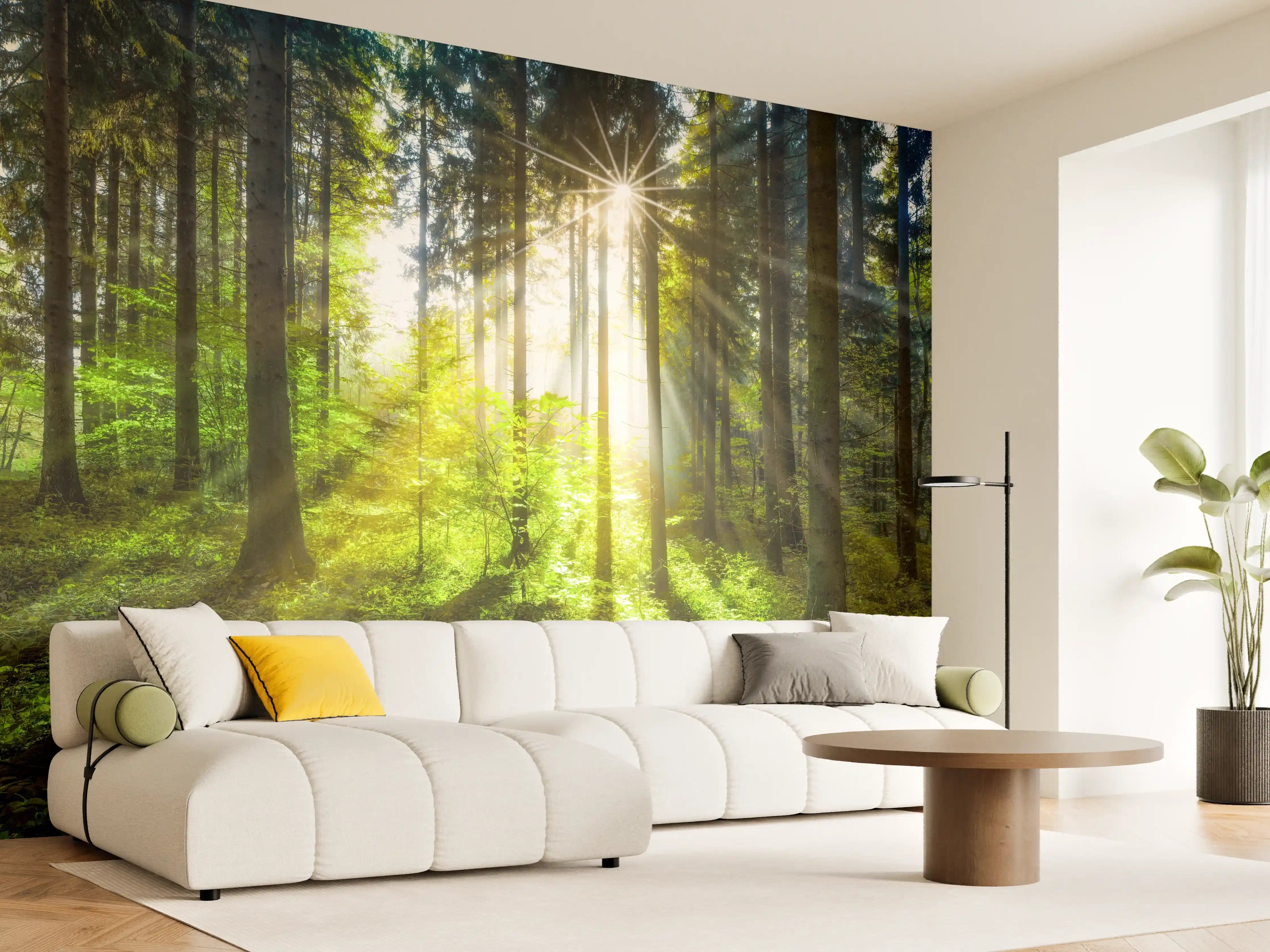 Wandverkleidung Wohnzimmer - Sonnenstrahlen im lebendigem Wald 