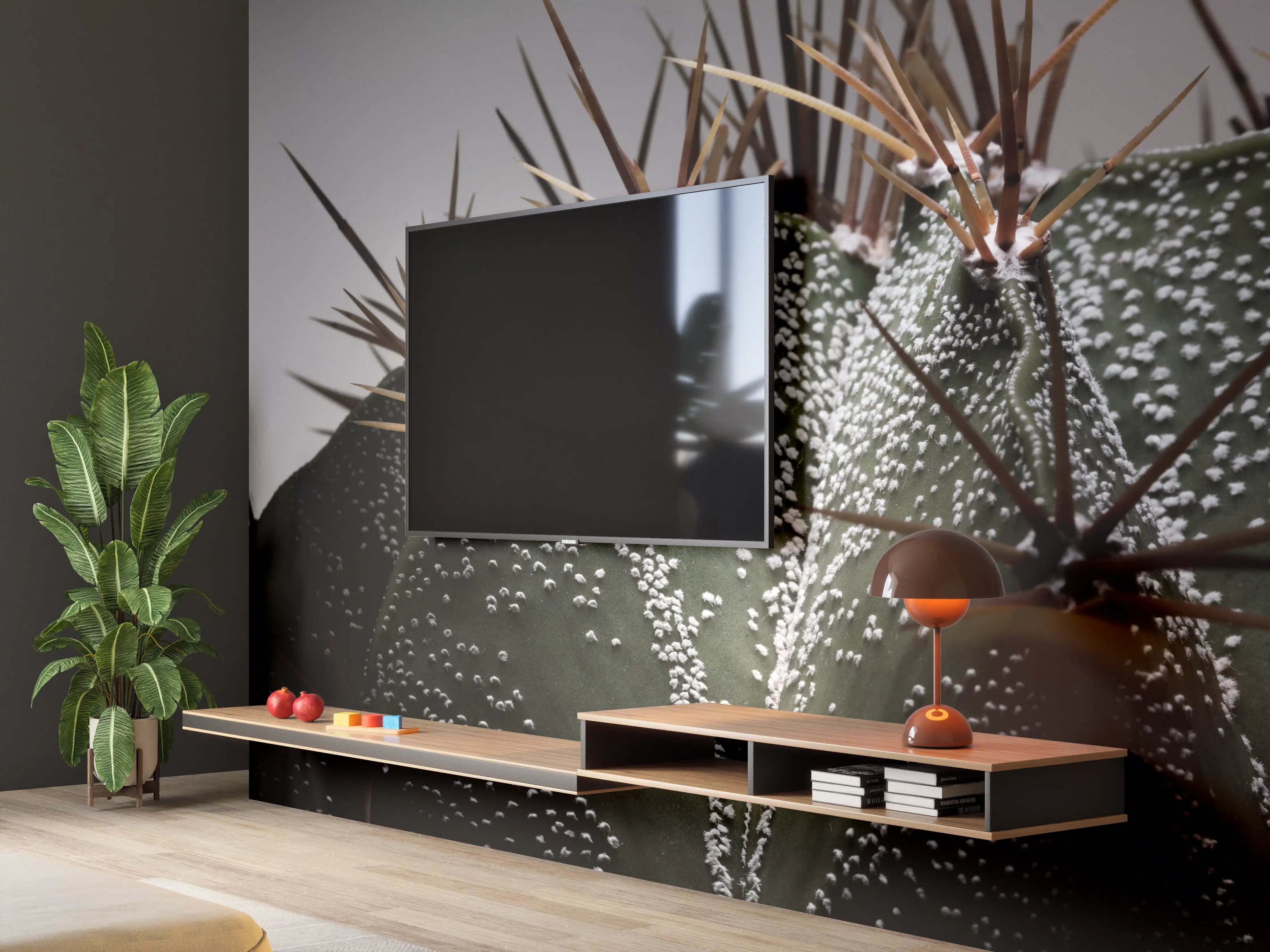 Wandverkleidung Wohnzimmer - Stachelige Kakteen im dunklen Hintergrund