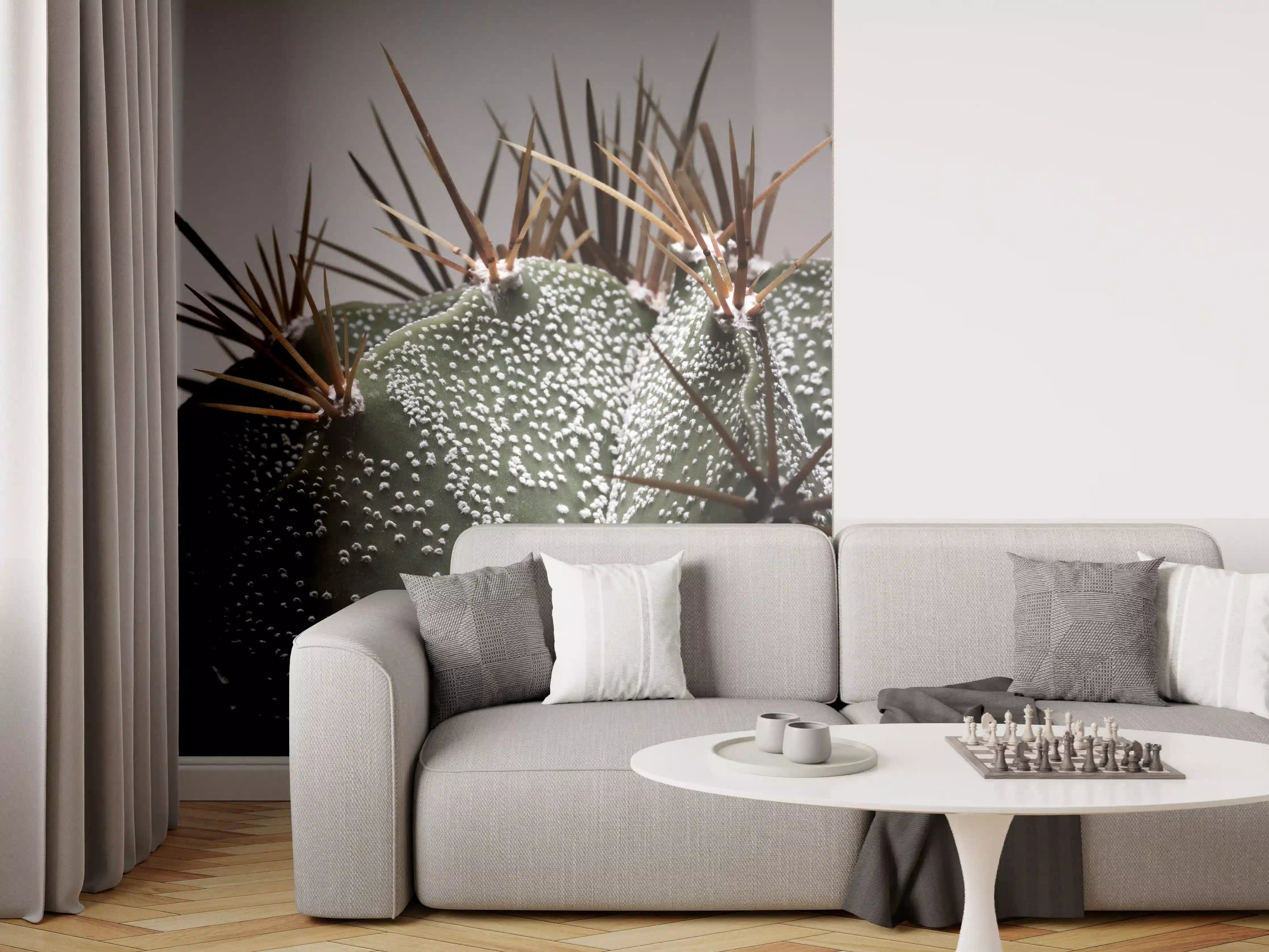 Wandverkleidung Wohnzimmer - Stachelige Kakteen im dunklen Hintergrund