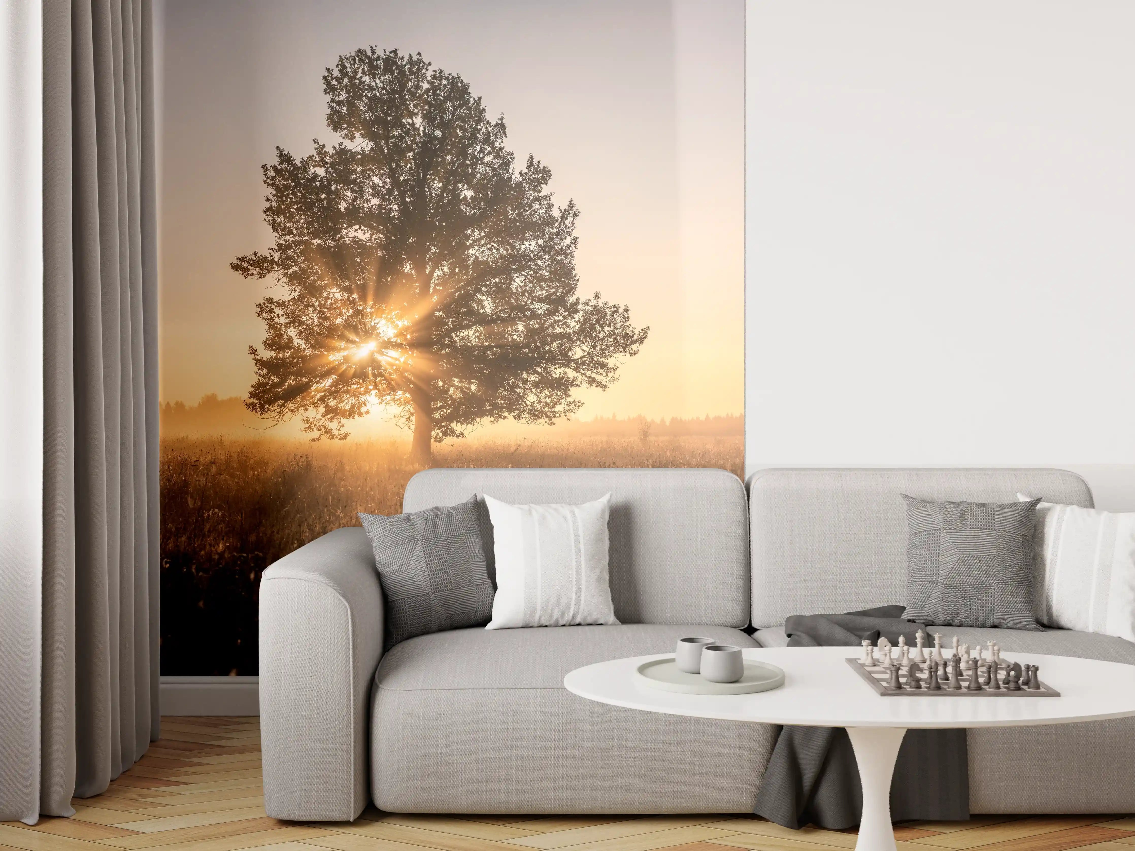 Wandverkleidung Wohnzimmer - Stimmungsvoller Sonnenuntergang hinter Baum