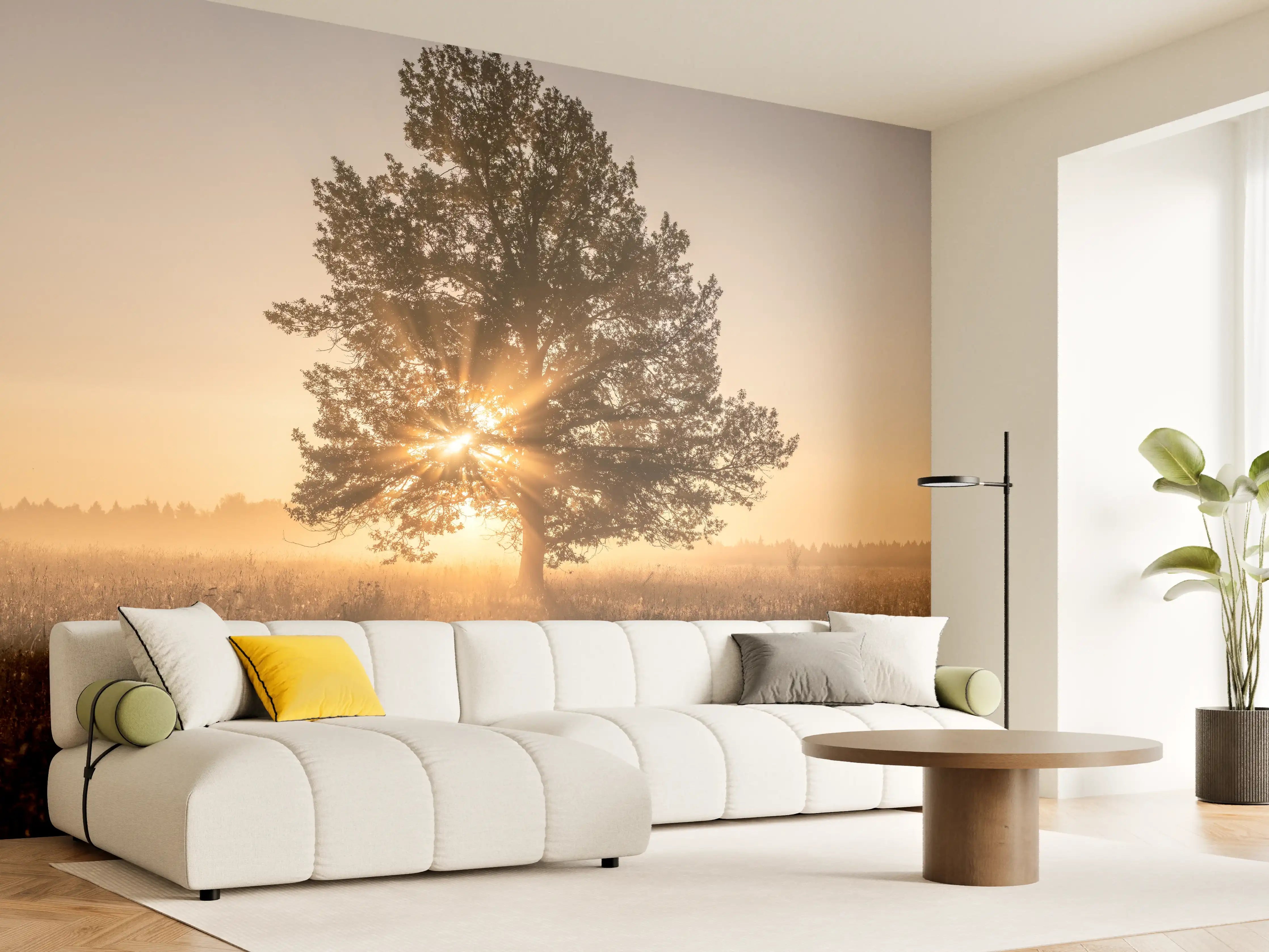 Wandverkleidung Wohnzimmer - Stimmungsvoller Sonnenuntergang hinter Baum