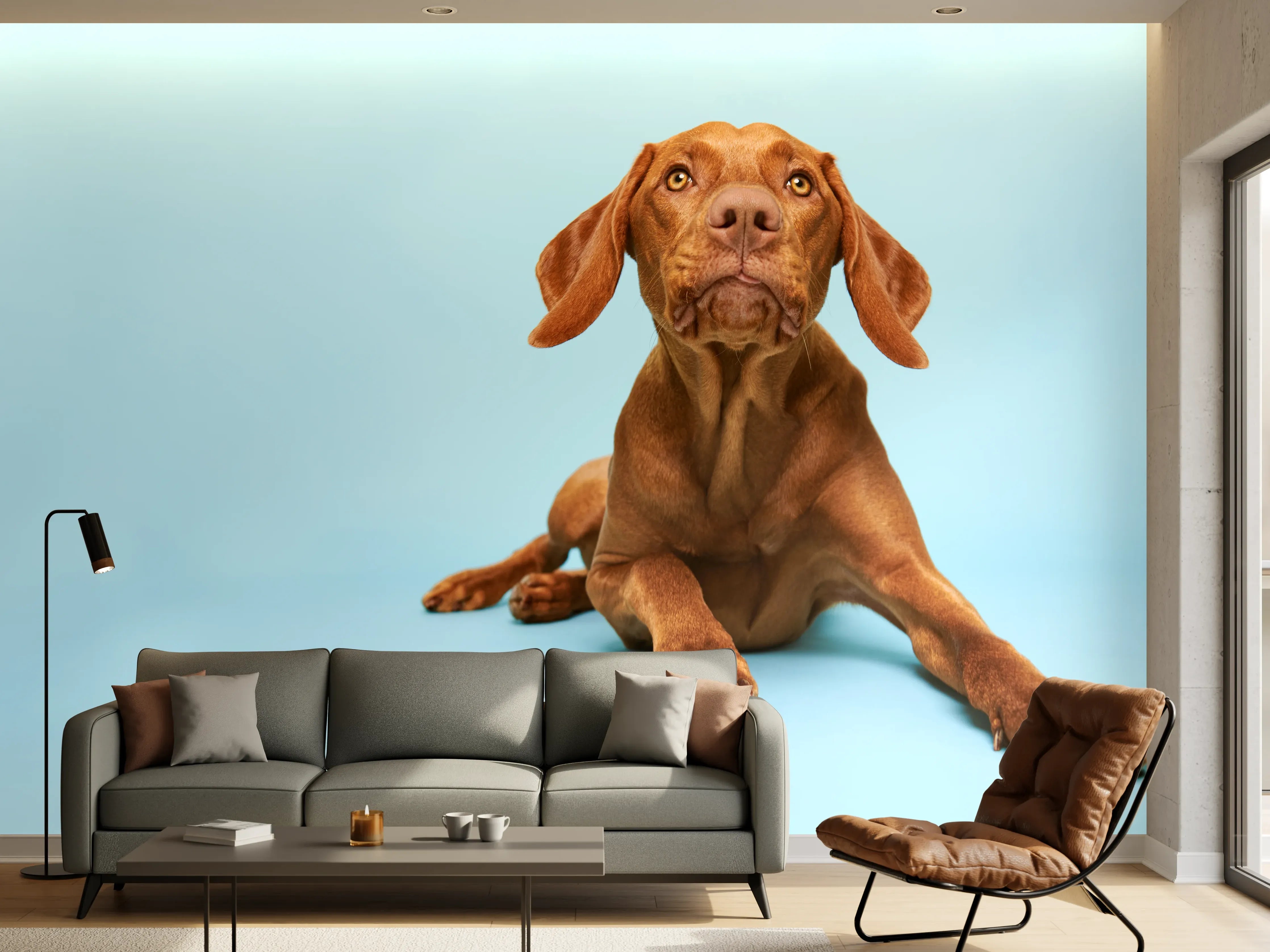 Wandverkleidung Wohnzimmer - Ungarischer Vizsla-Welpe Portrait
