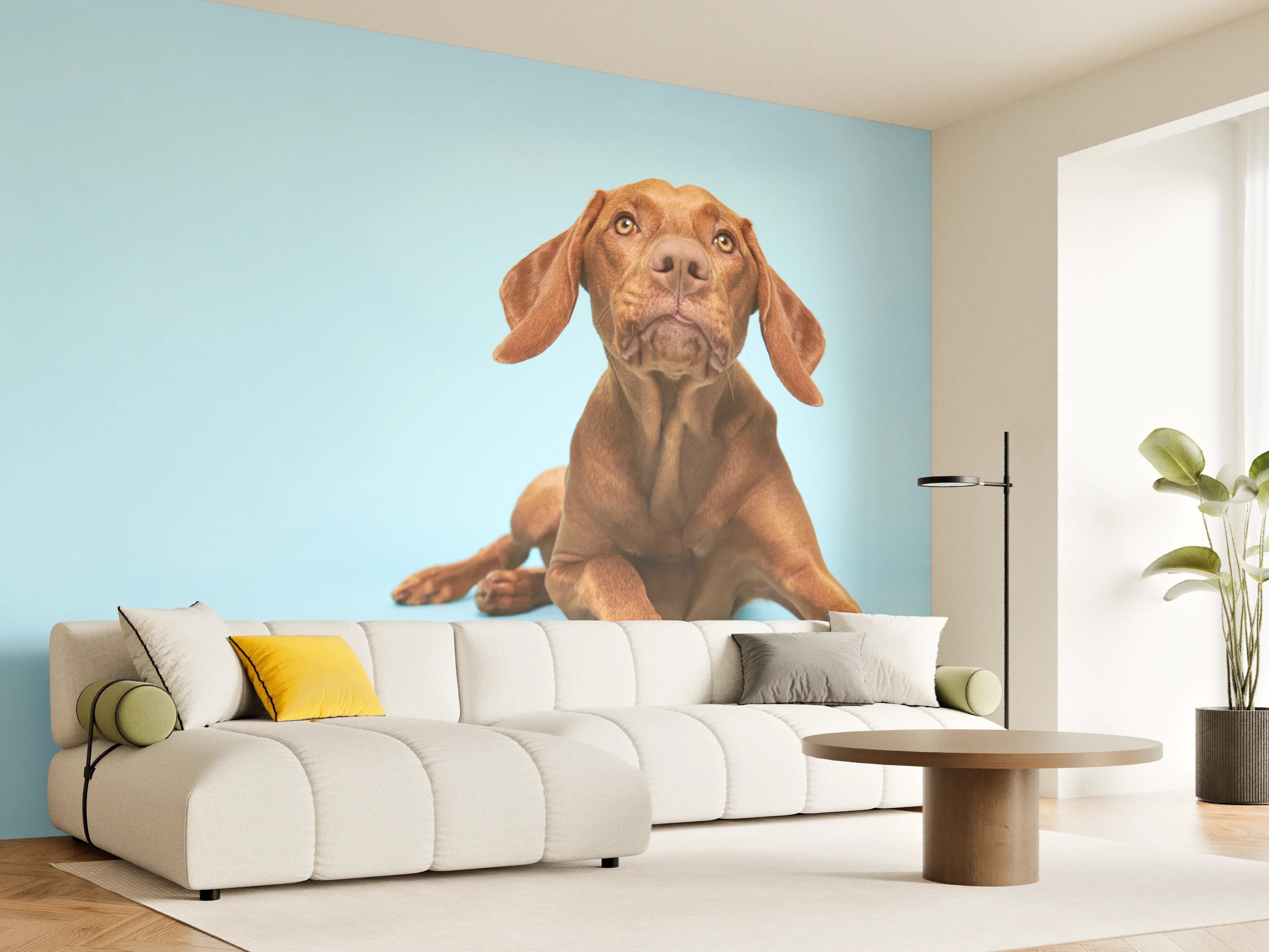 Wandverkleidung Wohnzimmer - Ungarischer Vizsla-Welpe Portrait