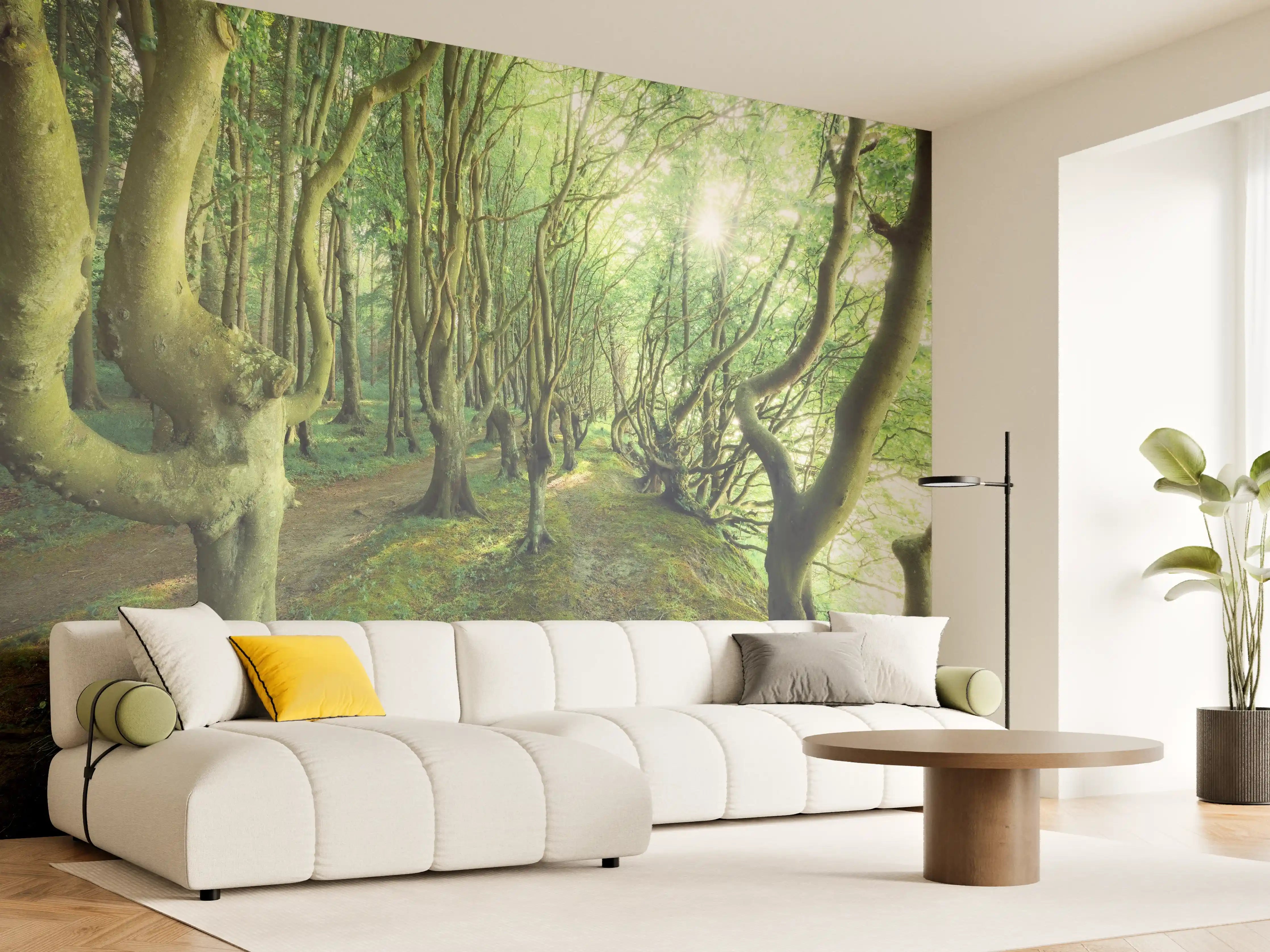 Wandverkleidung Wohnzimmer - Verzaubernder Wald im Sonnenlicht