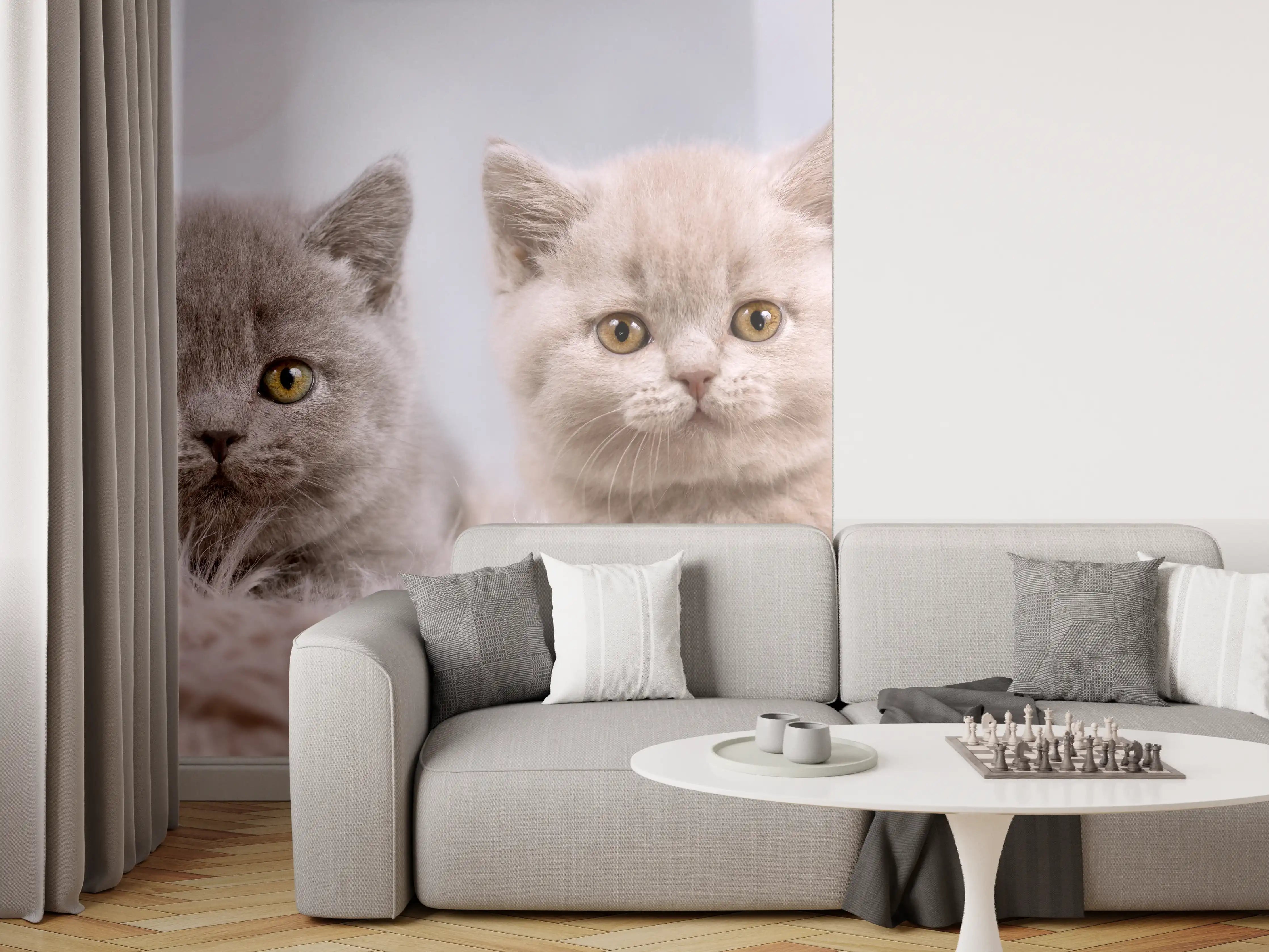 Wandverkleidung Wohnzimmer - Vier süße Katzenbaby