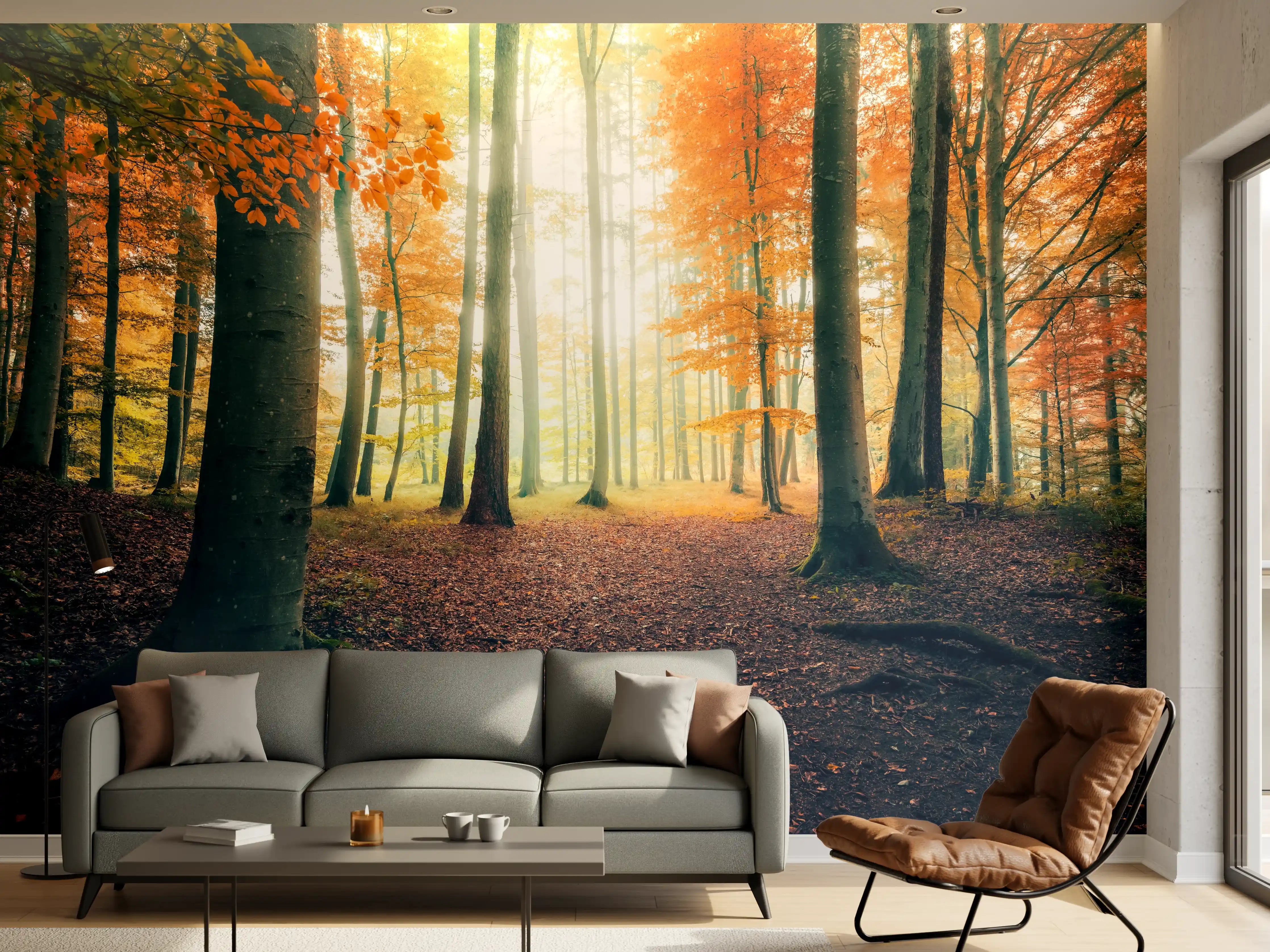 Wandverkleidung Wohnzimmer - Wald im Goldlicht der Herbstsonne