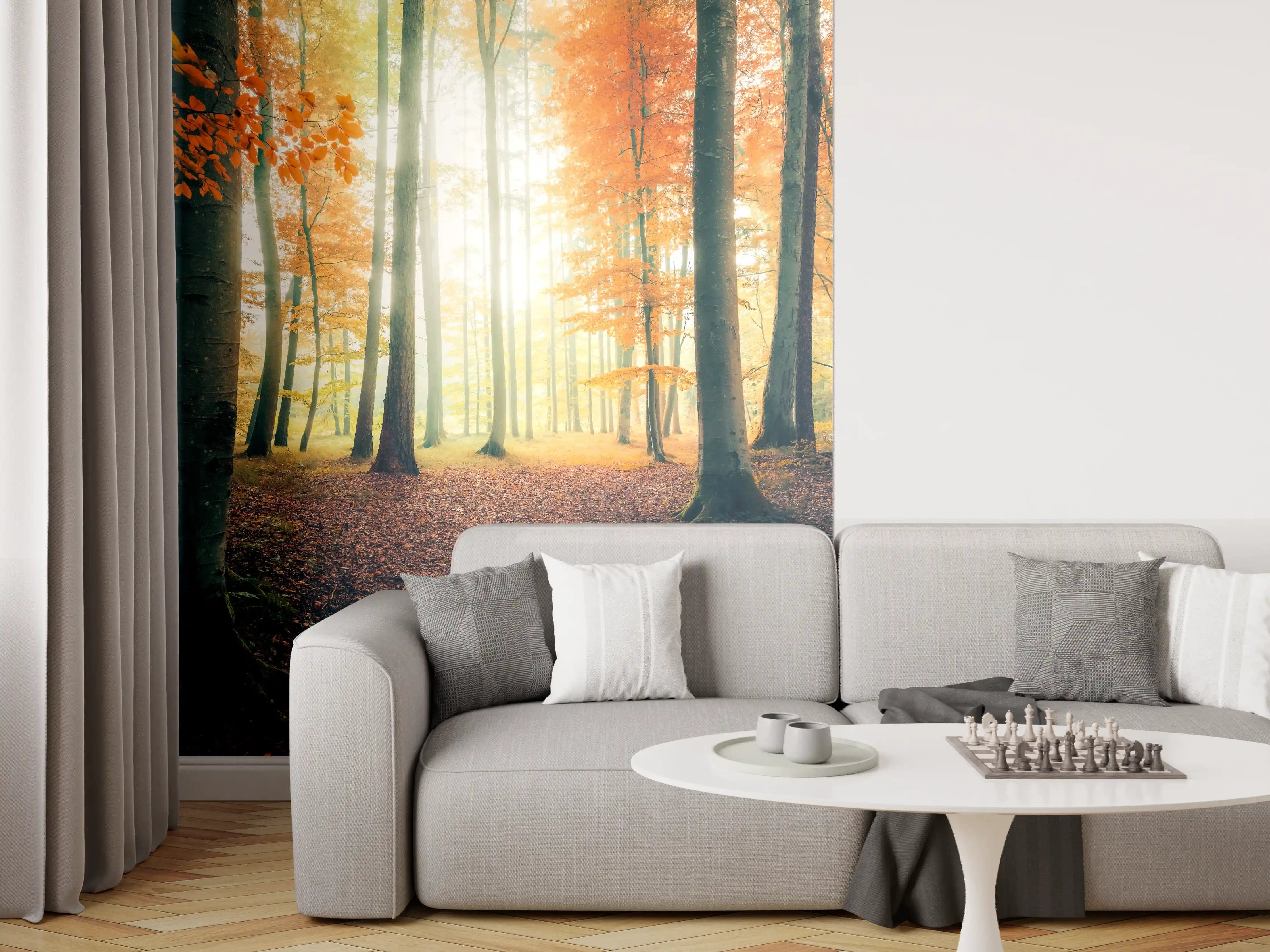 Wandverkleidung Wohnzimmer - Wald im Goldlicht der Herbstsonne