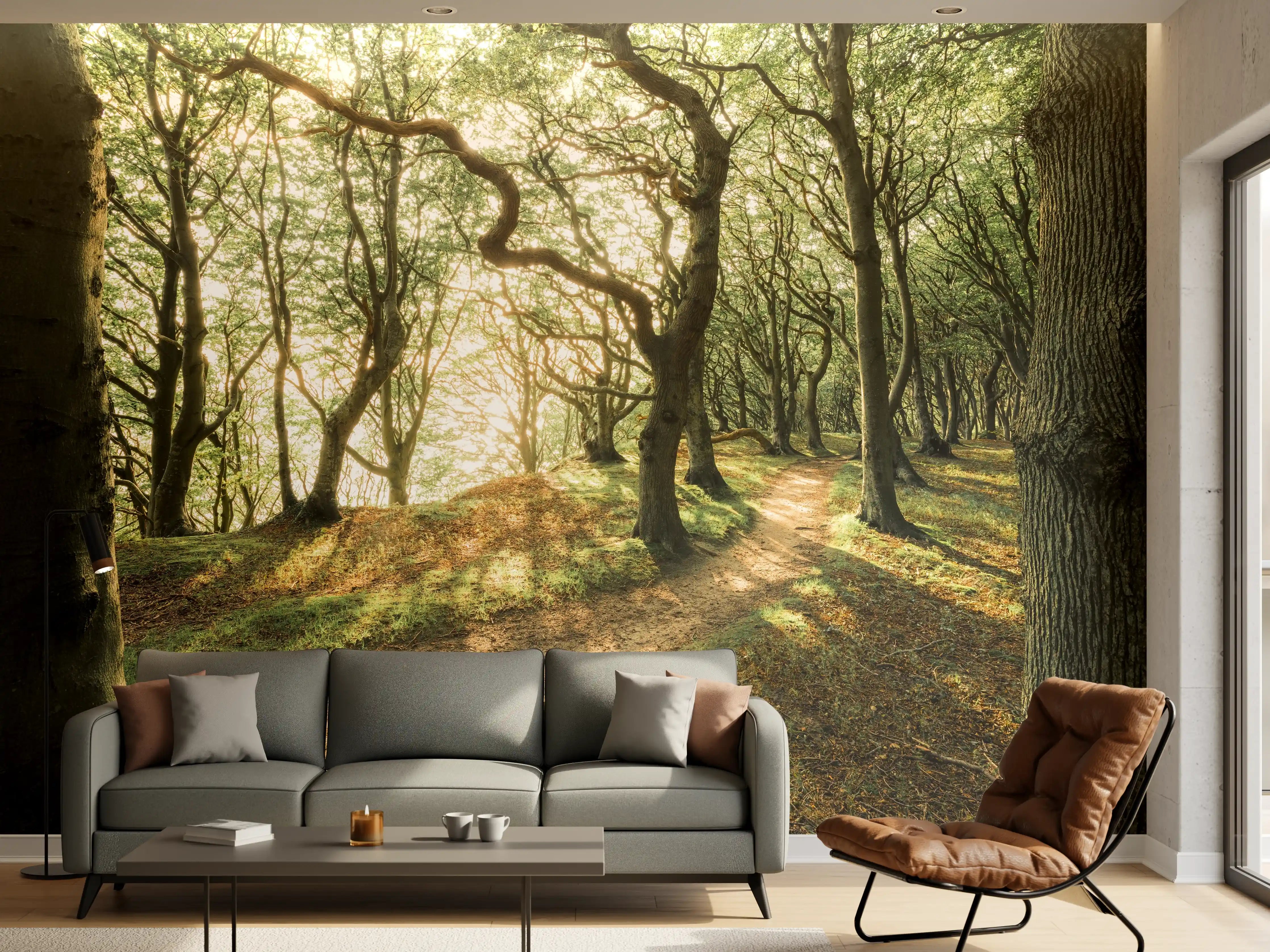 Wandverkleidung Wohnzimmer - Waldpfad bei Sonnenlicht