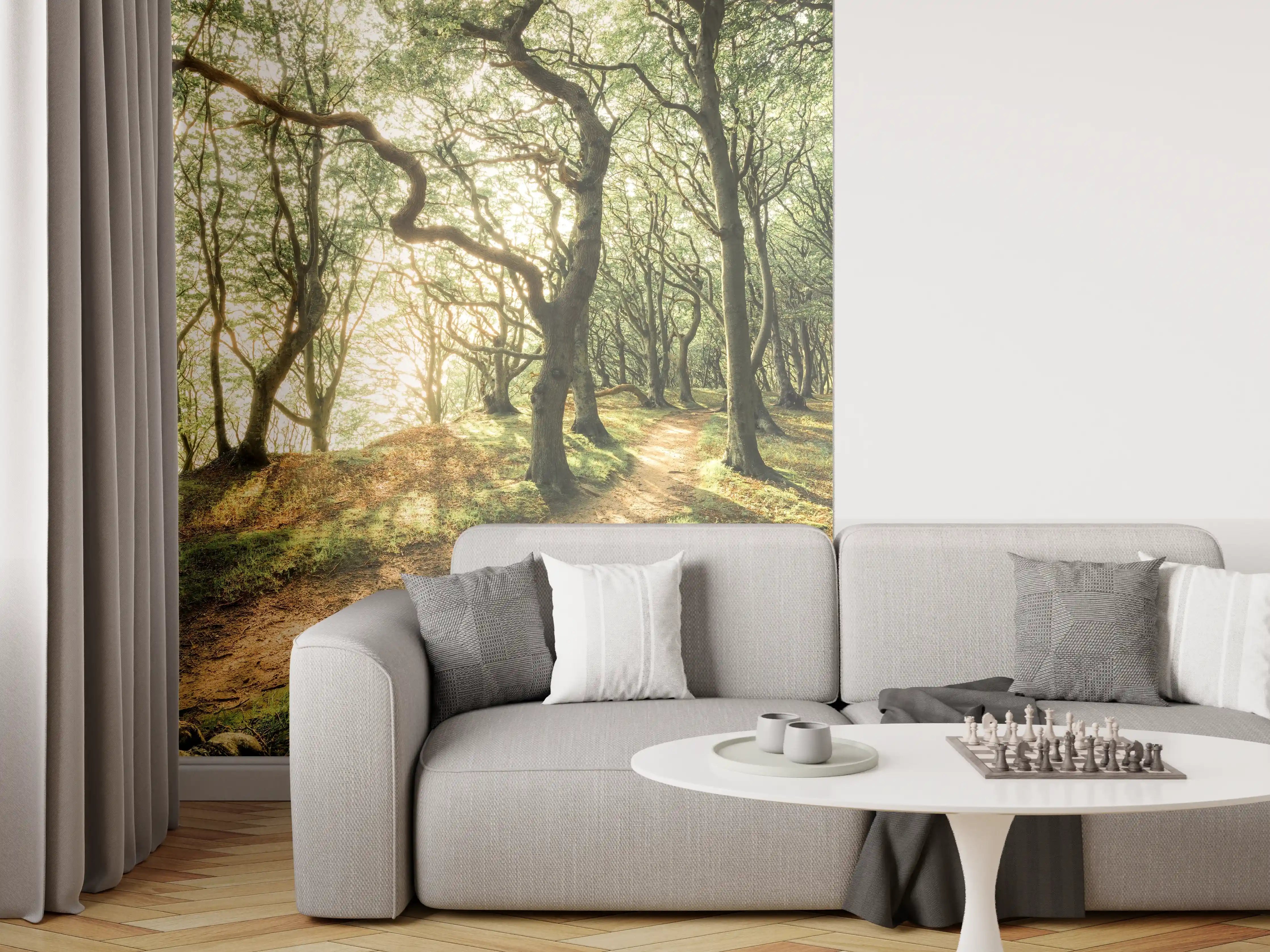 Wandverkleidung Wohnzimmer - Waldpfad bei Sonnenlicht