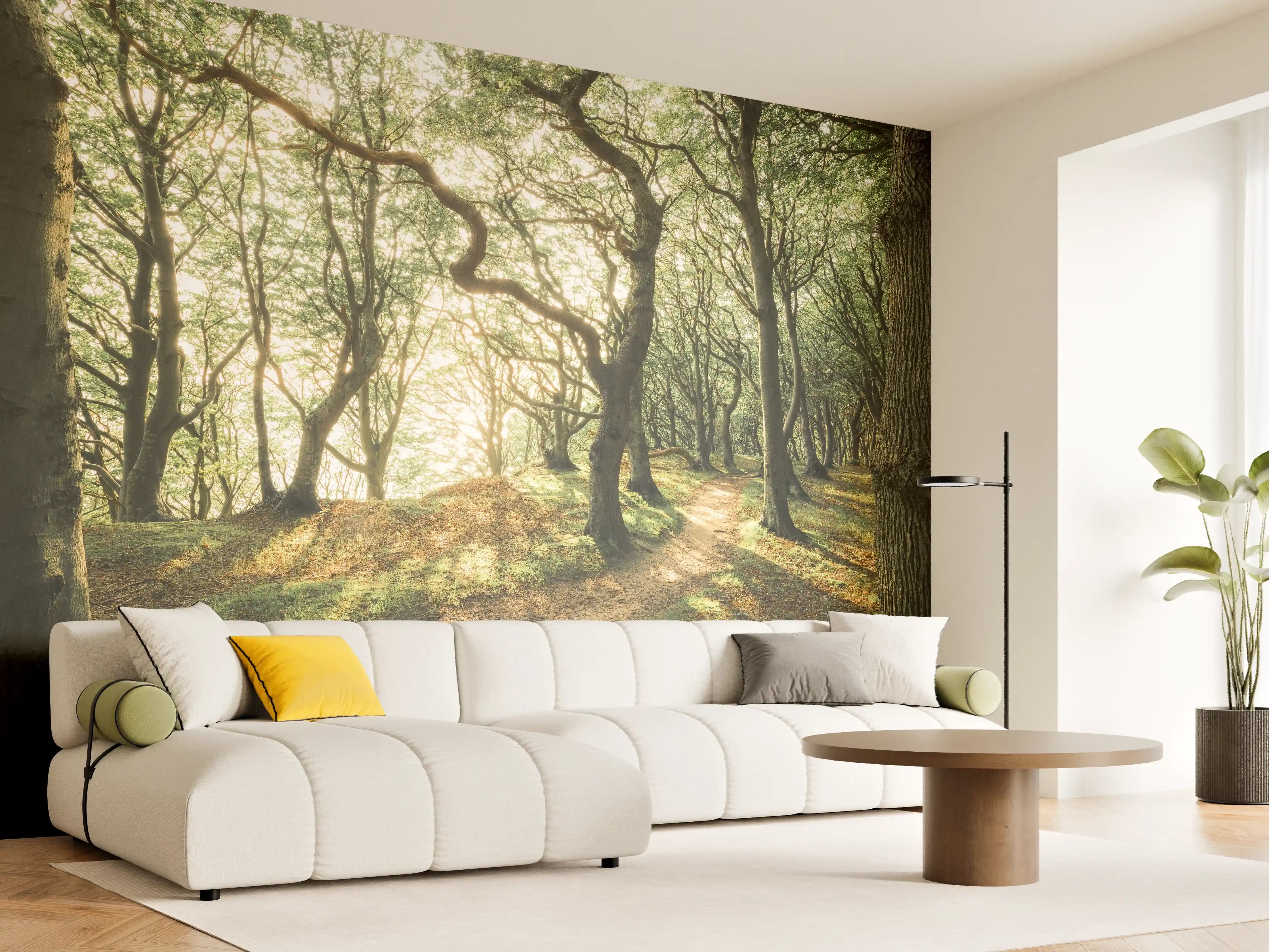 Wandverkleidung Wohnzimmer - Waldpfad bei Sonnenlicht