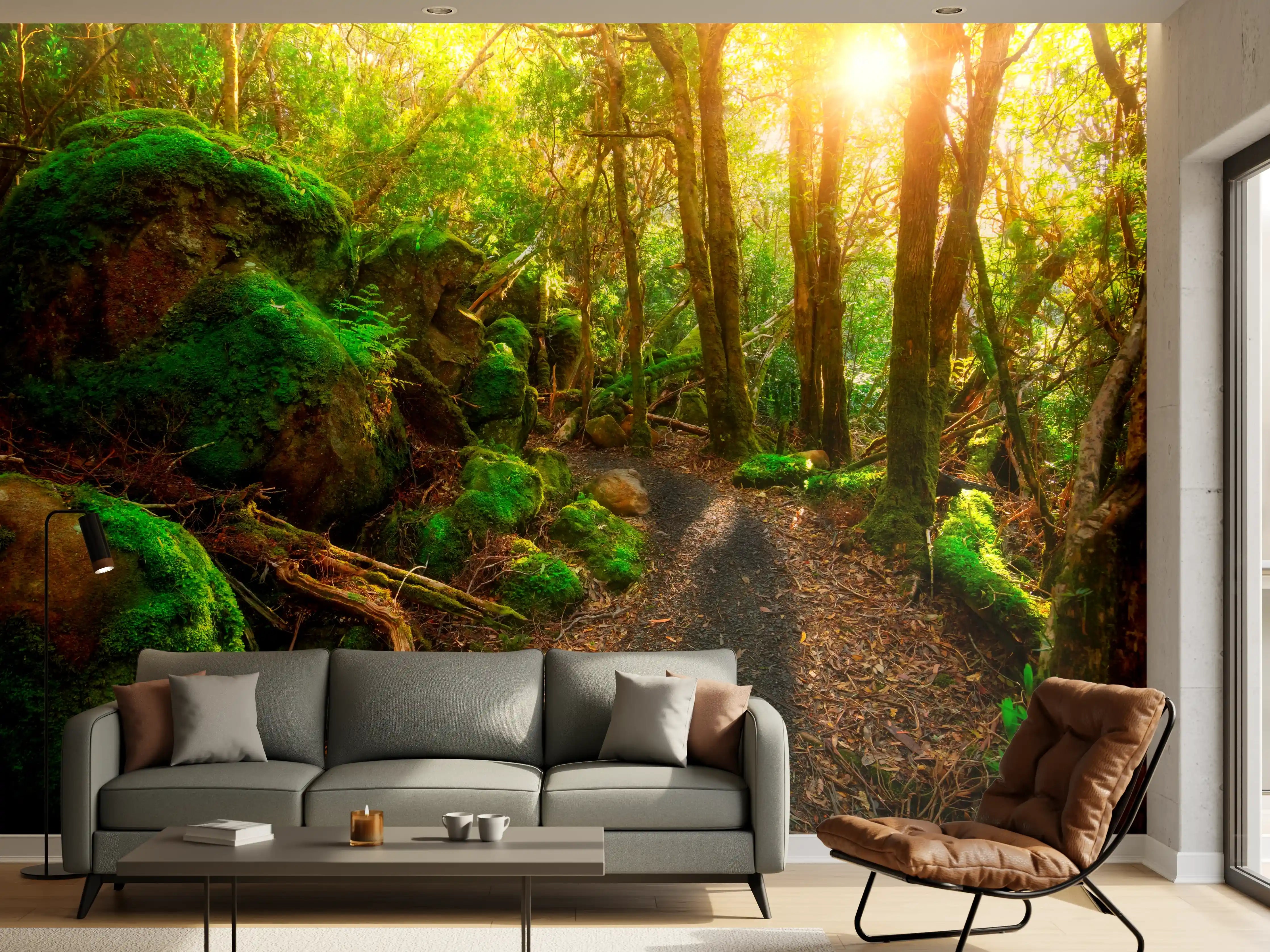 Wandverkleidung Wohnzimmer - Wanderpfad im sonnigen Wald
