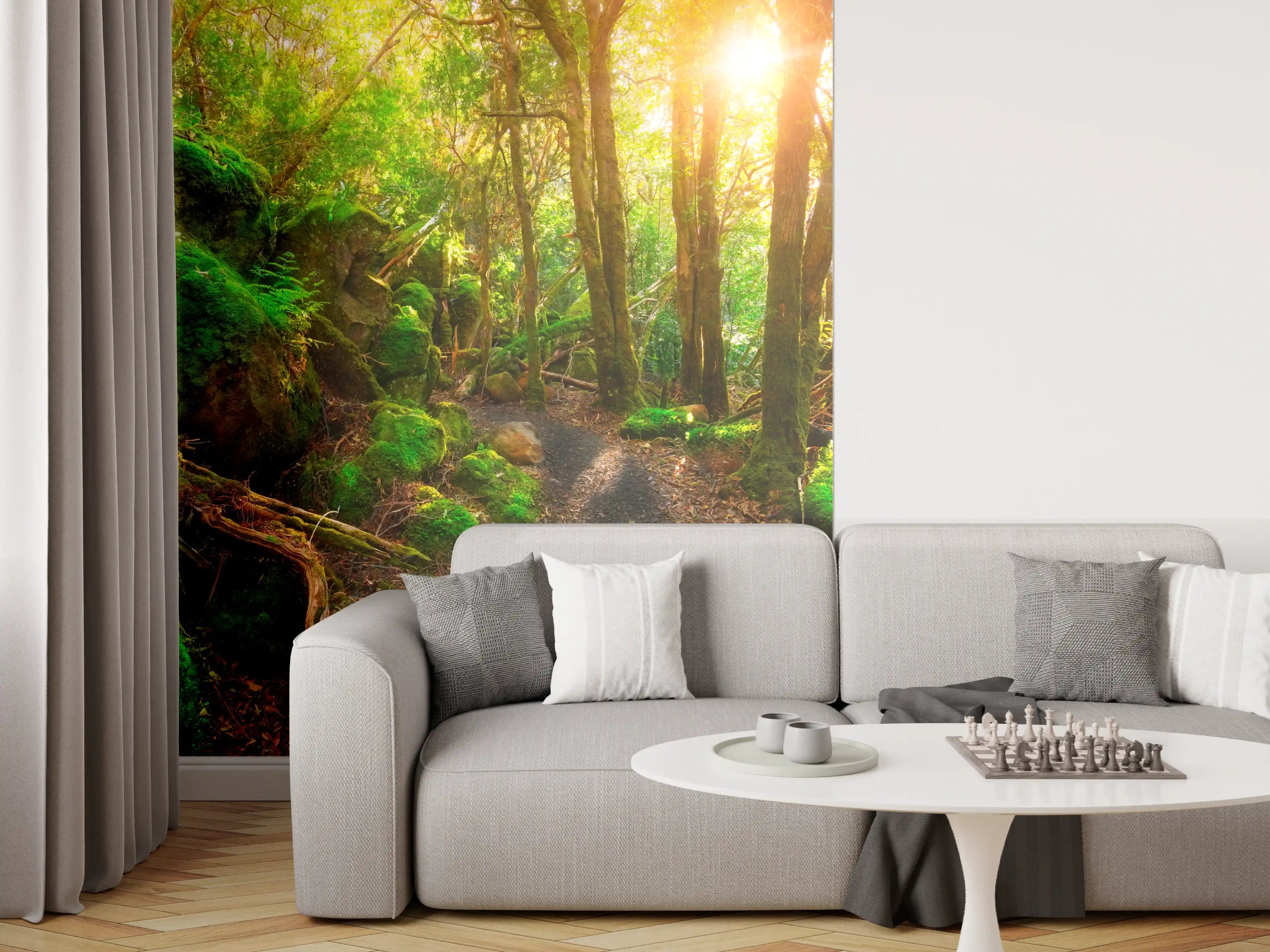 Wandverkleidung Wohnzimmer - Wanderpfad im sonnigen Wald