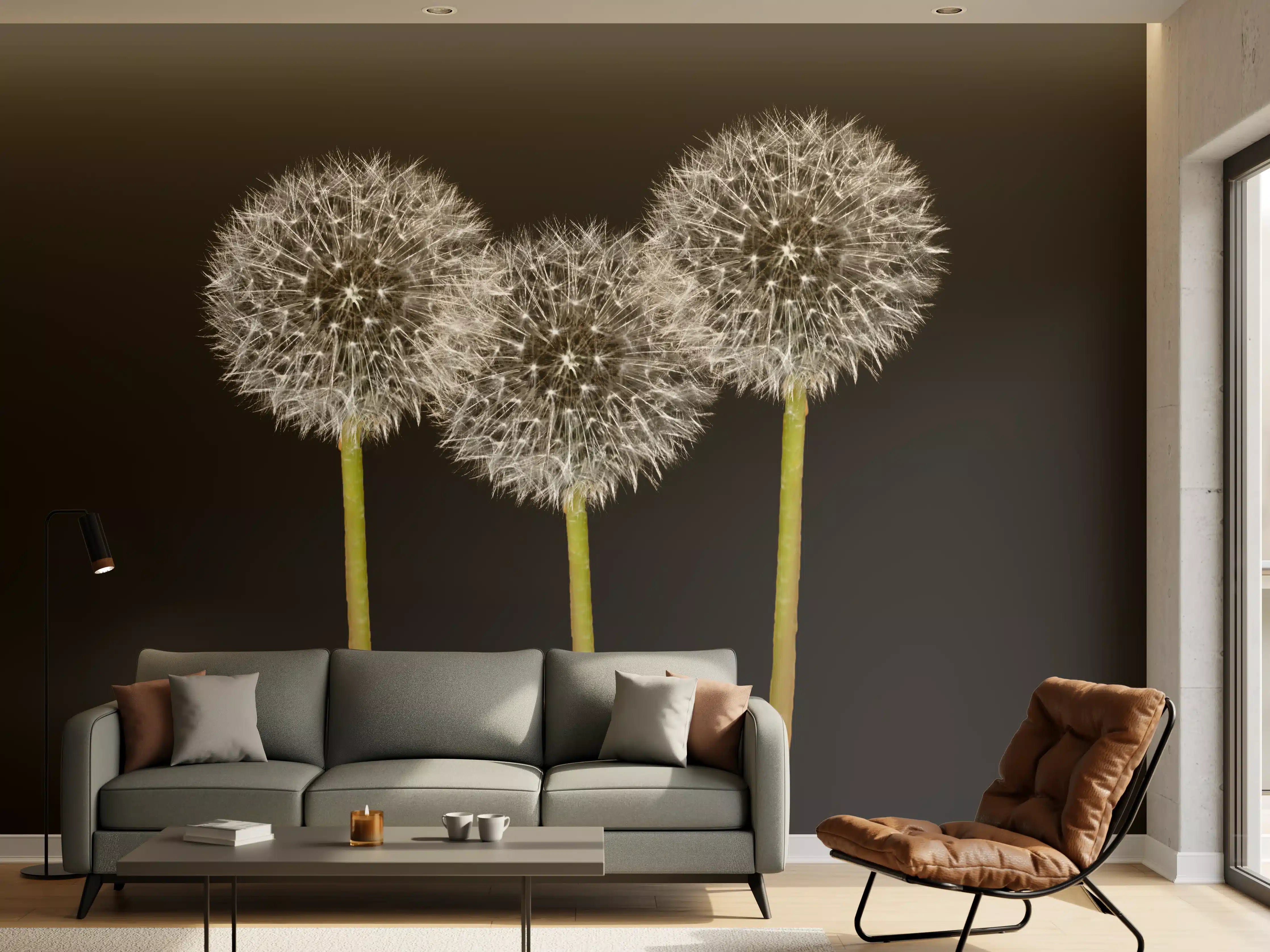 Wandverkleidung Wohnzimmer - Weiße Pusteblumen auf Schwarz