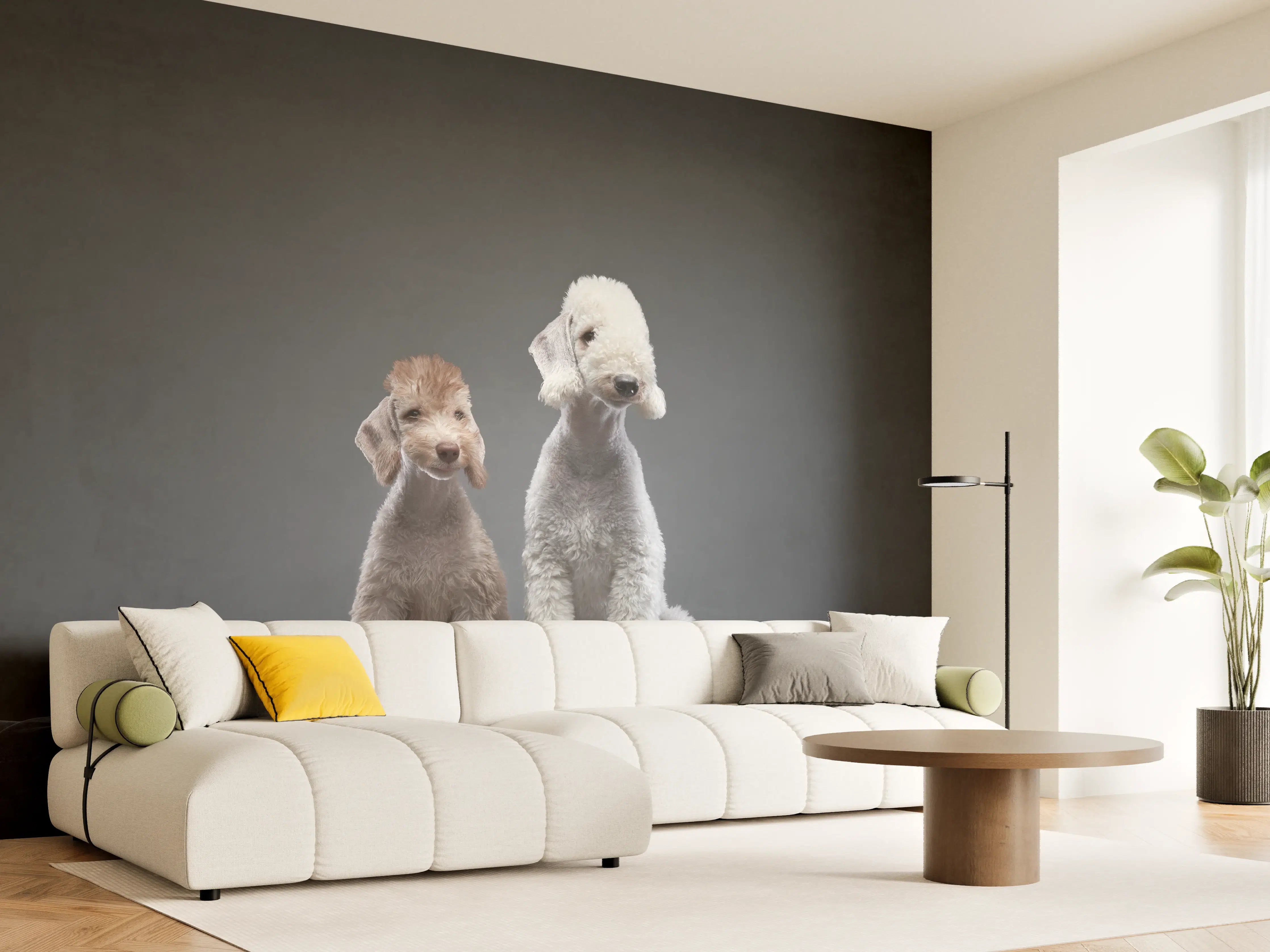 Wandverkleidung Wohnzimmer - Welpe und erwachsener Bedlington Terrier