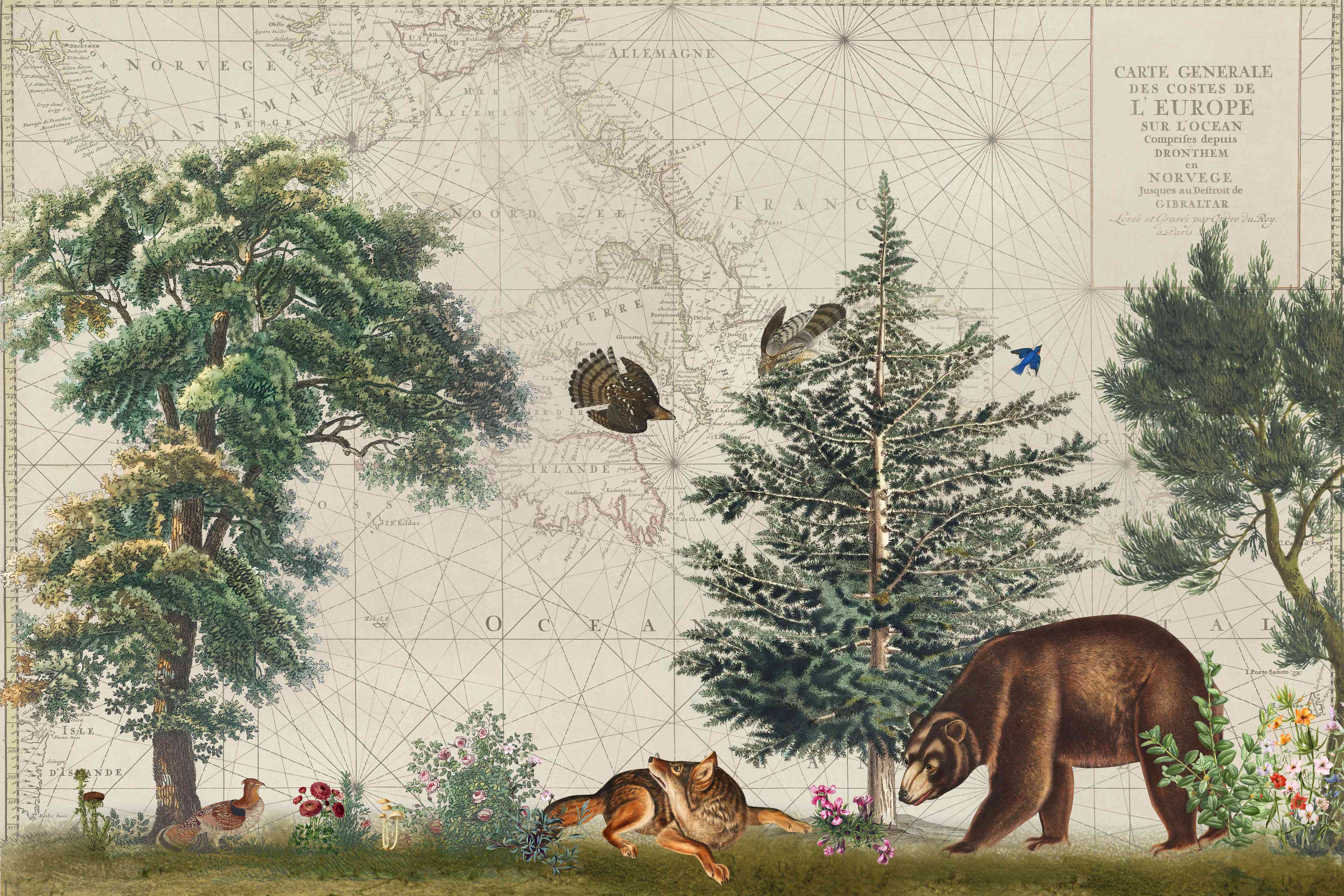 Wandverkleidung Wohnzimmer-Weltkarte mit tropischem Wald