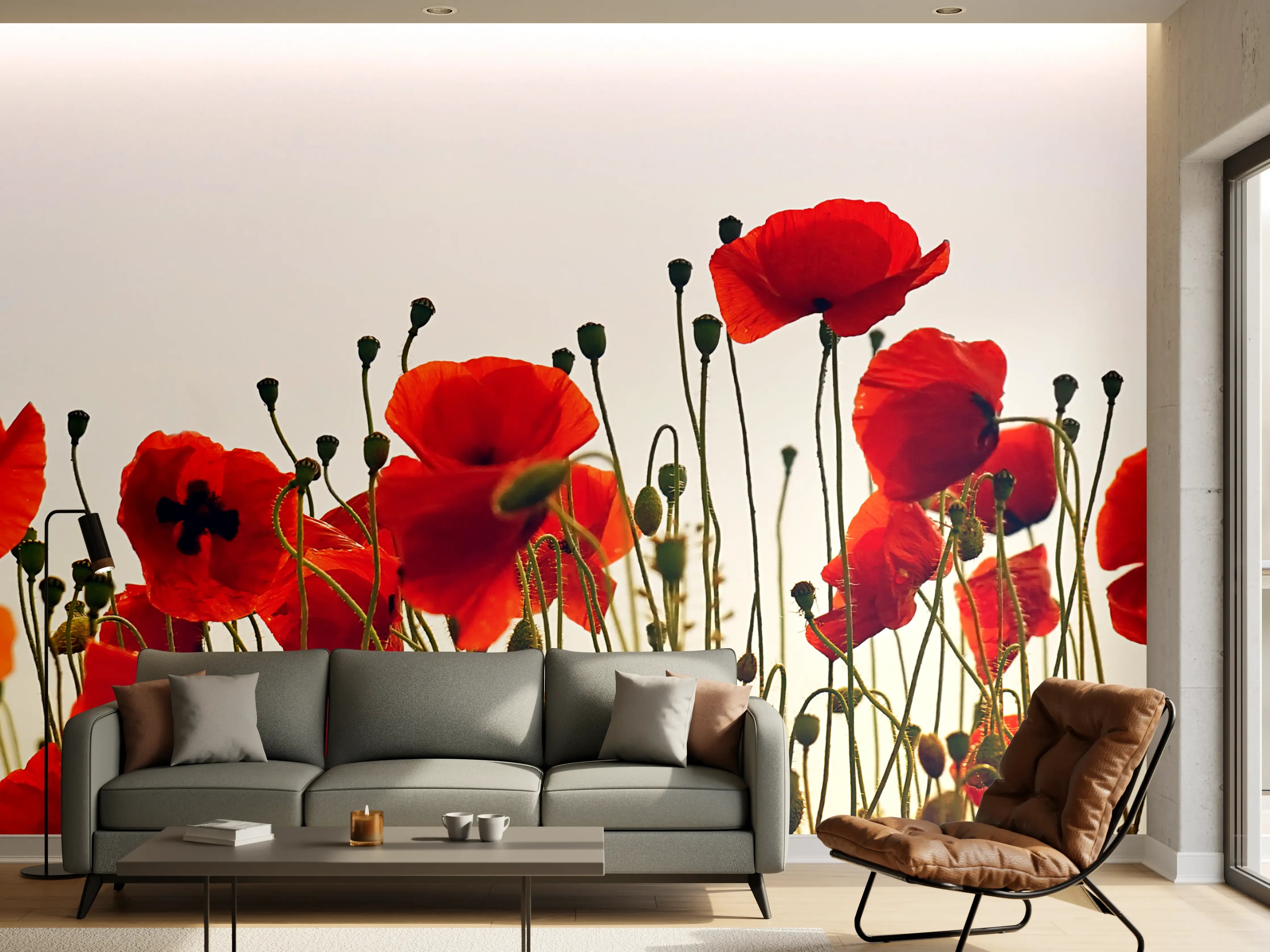 Wandverkleidung Wohnzimmer - Wunderschöne Mohnblumen im Sonnenlicht