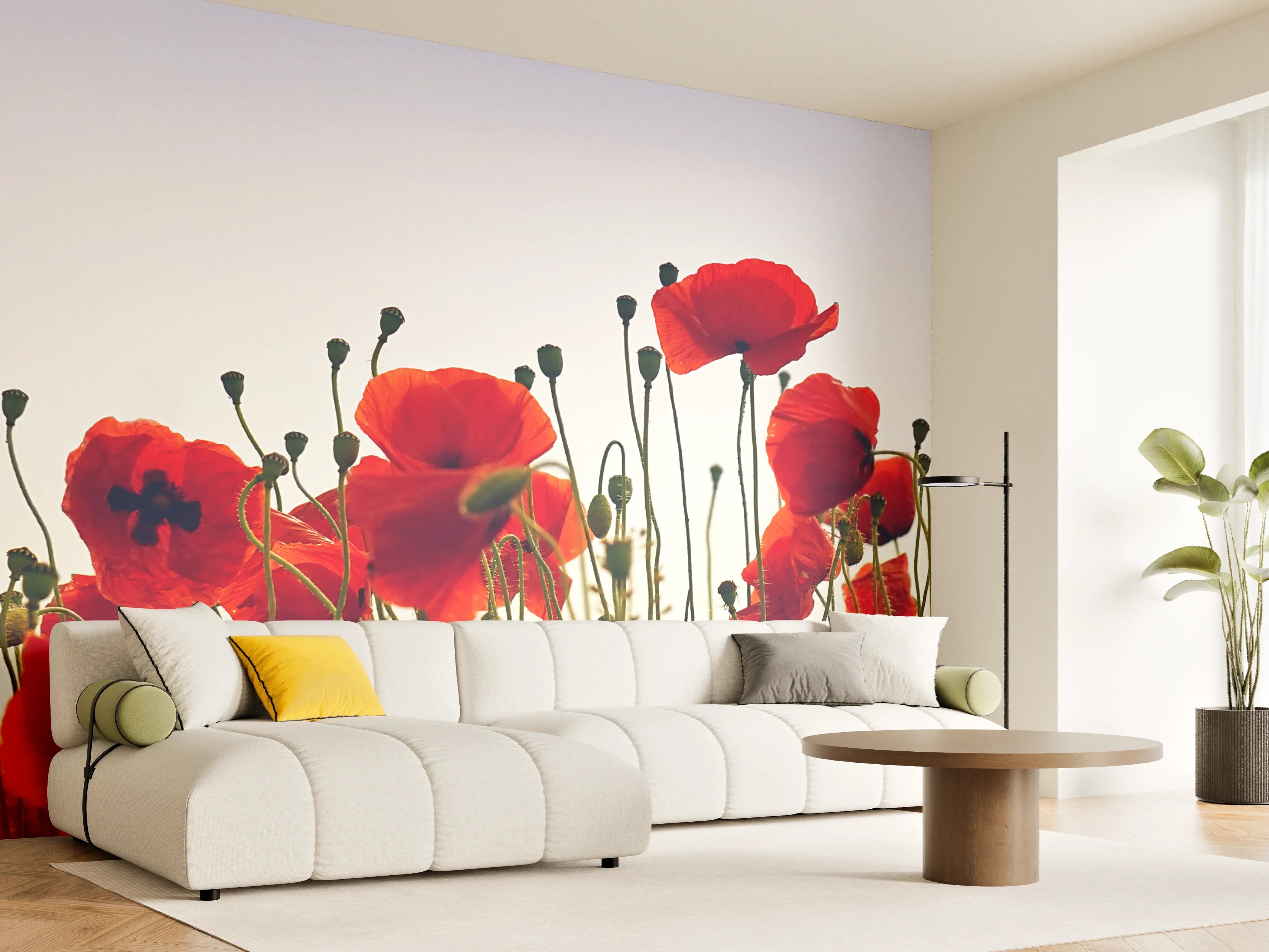 Wandverkleidung Wohnzimmer - Wunderschöne Mohnblumen im Sonnenlicht