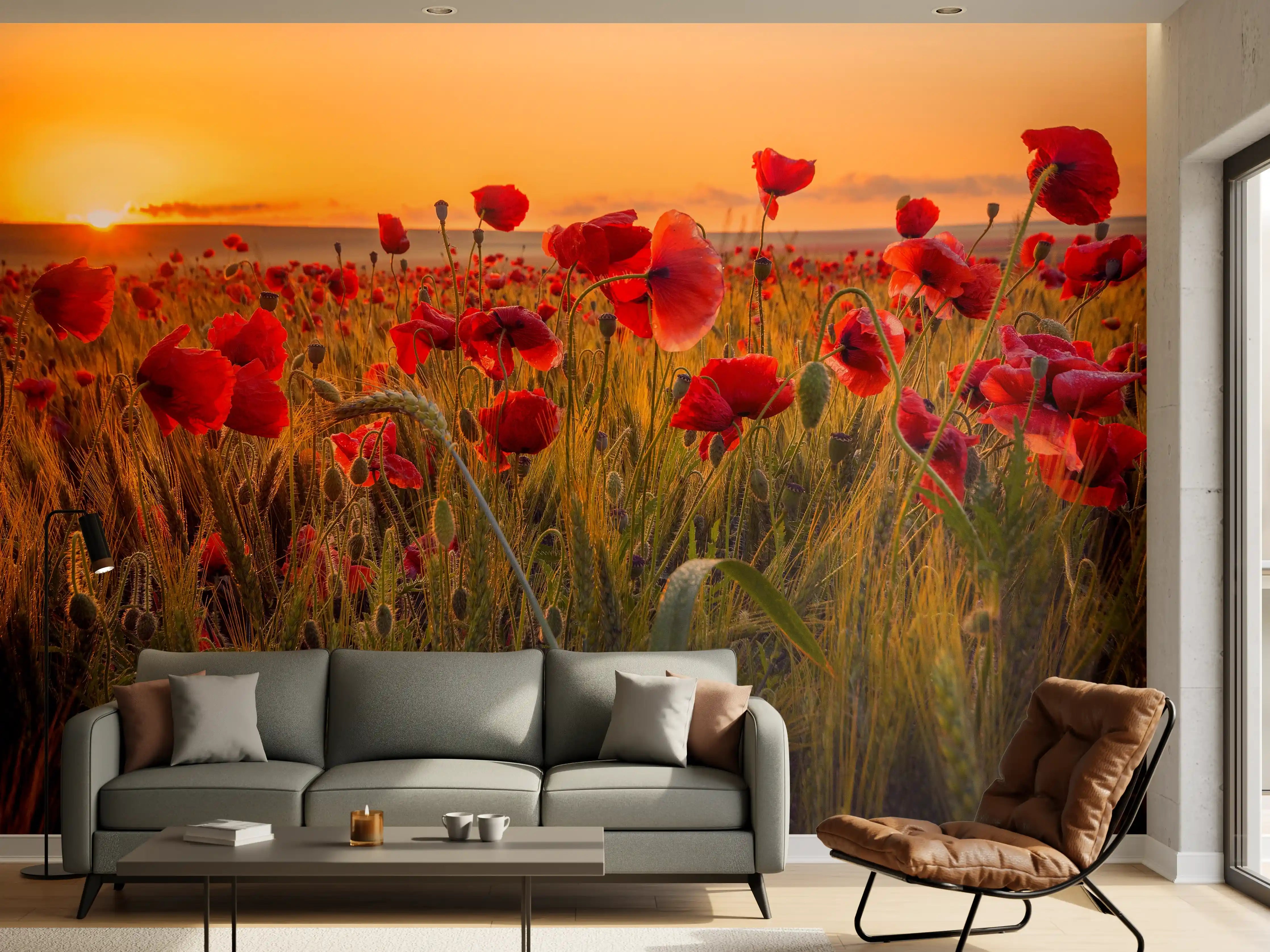 Wandverkleidung Wohnzimmer - Wunderschöner Mohnblumen-Sonnenuntergang