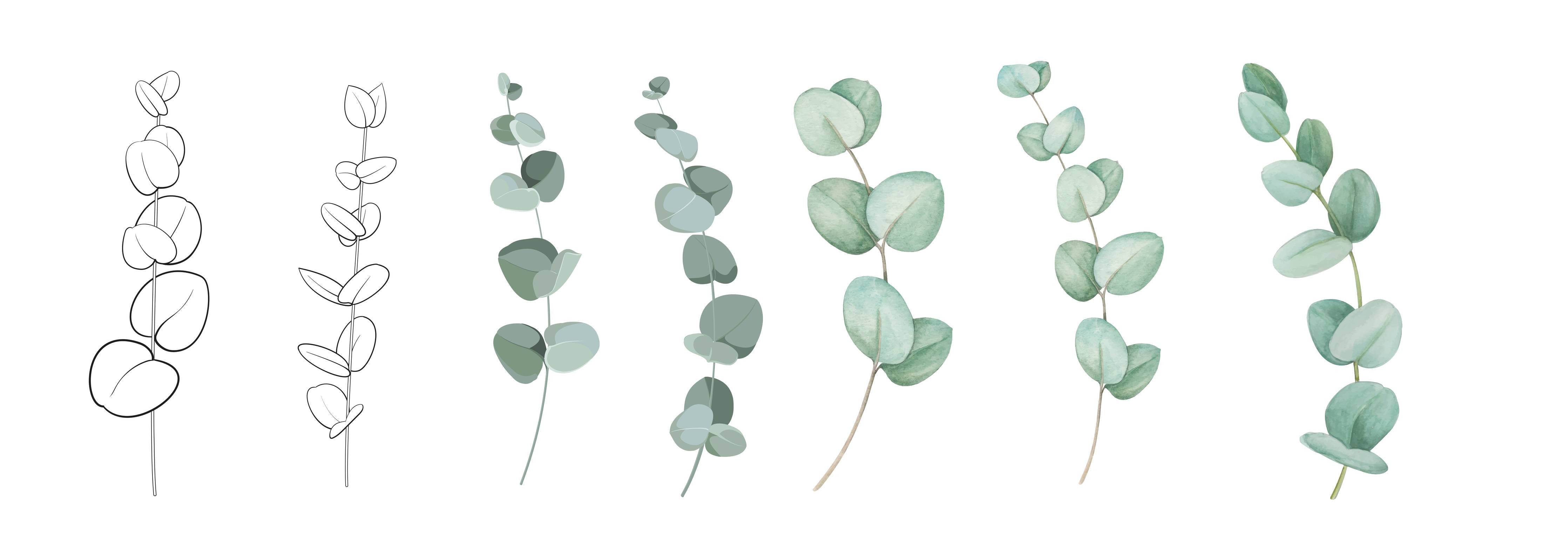 Wandverkleidung Wohnzimmer-Zarte Eukalyptus Aquarell-Motive