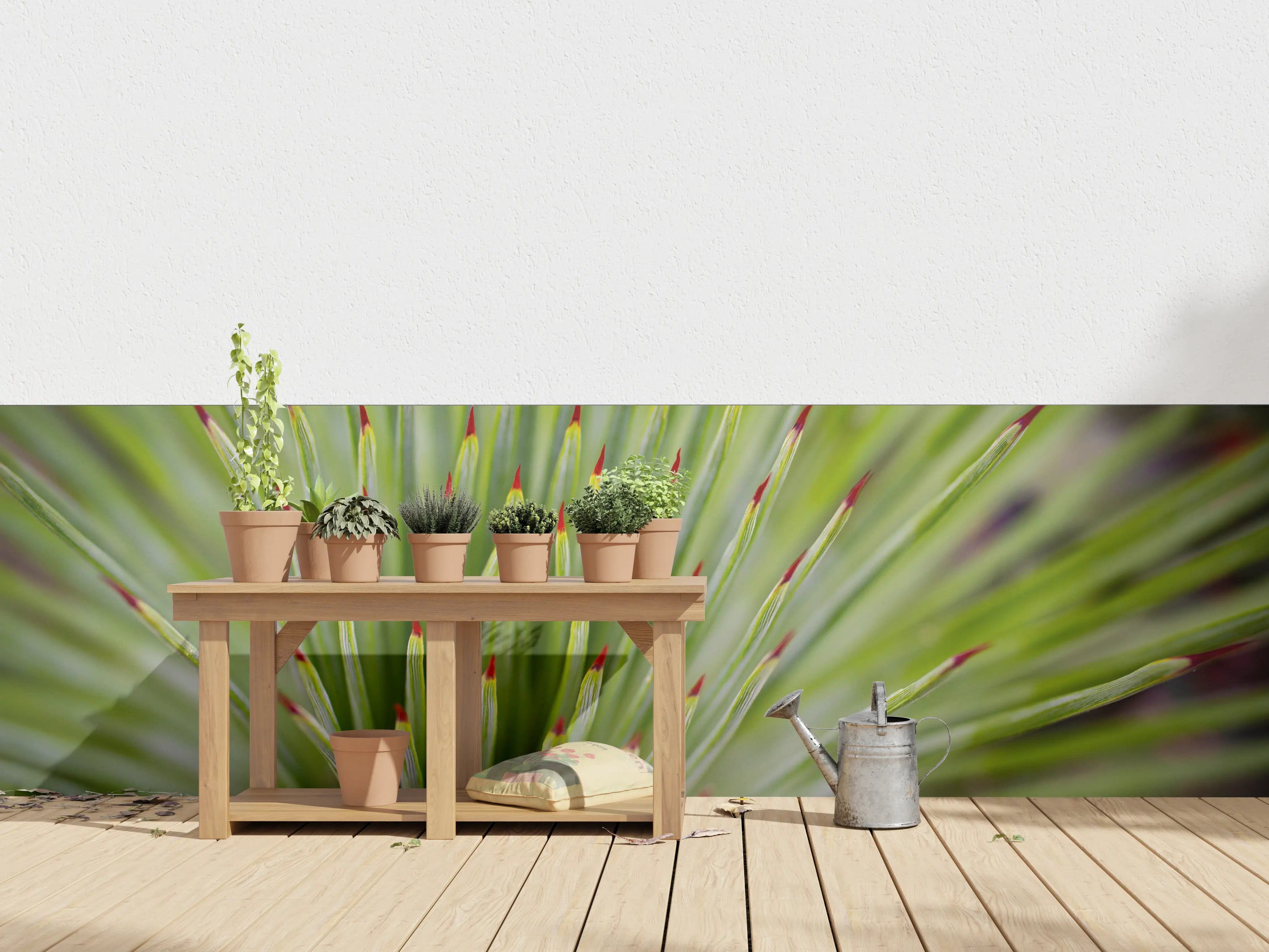 Wandverkleidung außen - Agave striata im Detail
