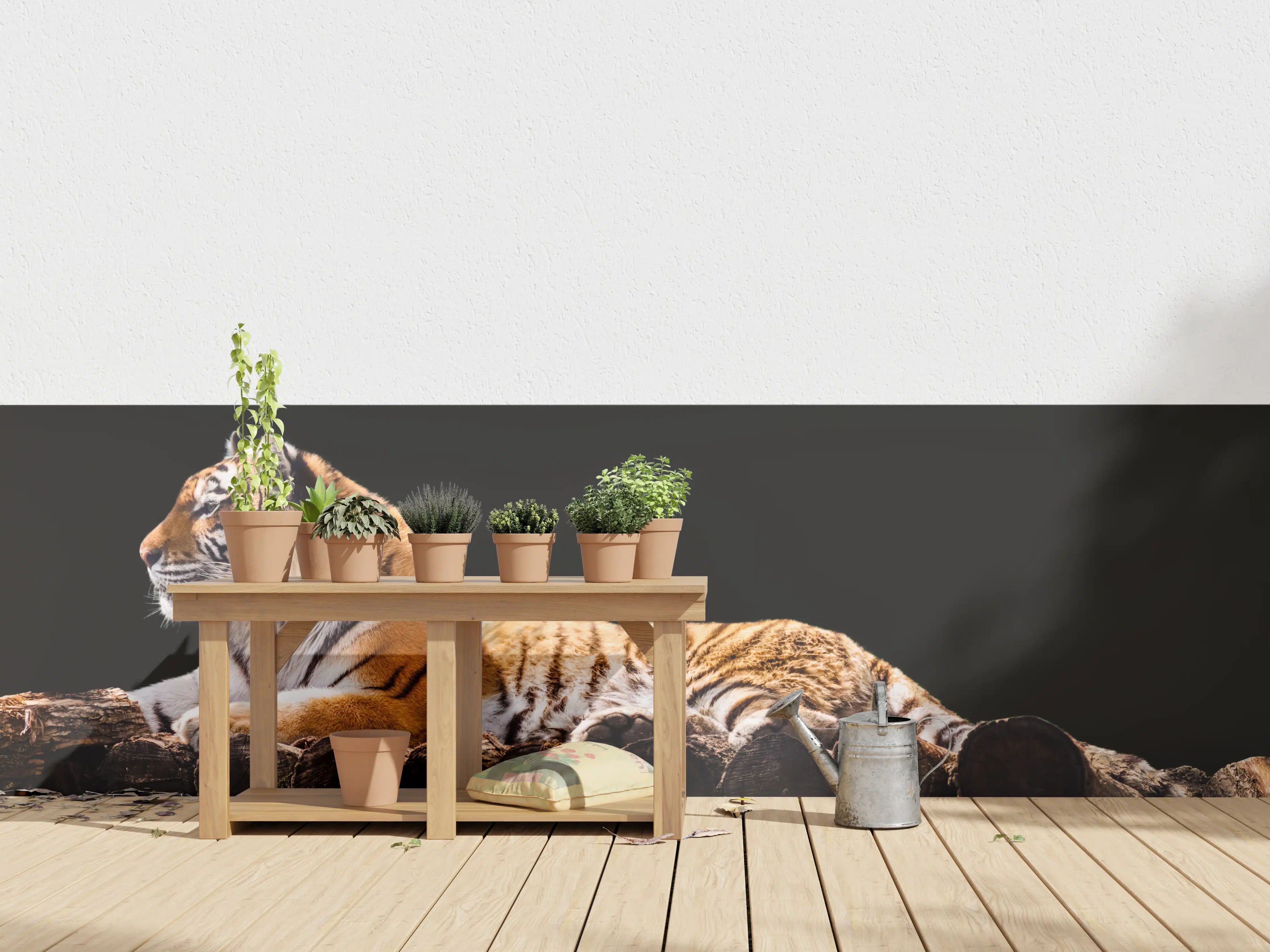 Wandverkleidung außen - Amurtiger liegend auf Holzdeck mit Schwarzem Hintergrund