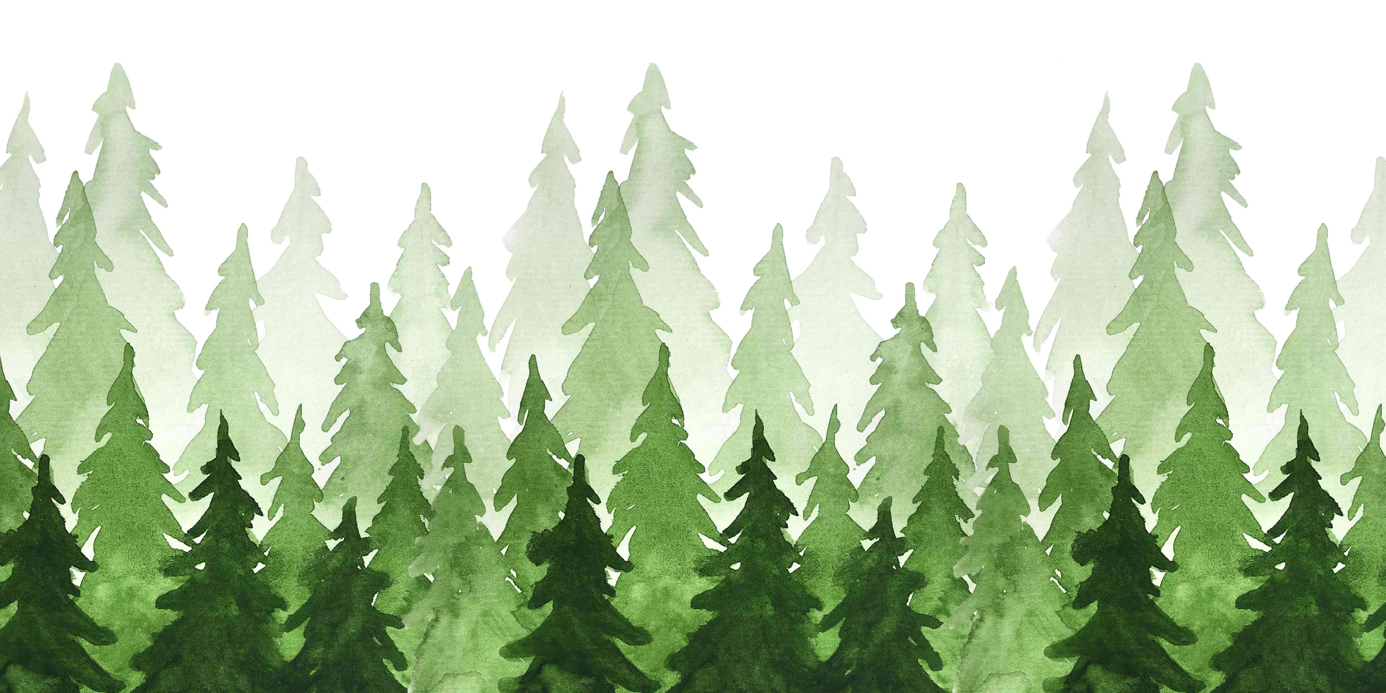 Wandverkleidung außen-Aquarell von grünen Tannenbäumen