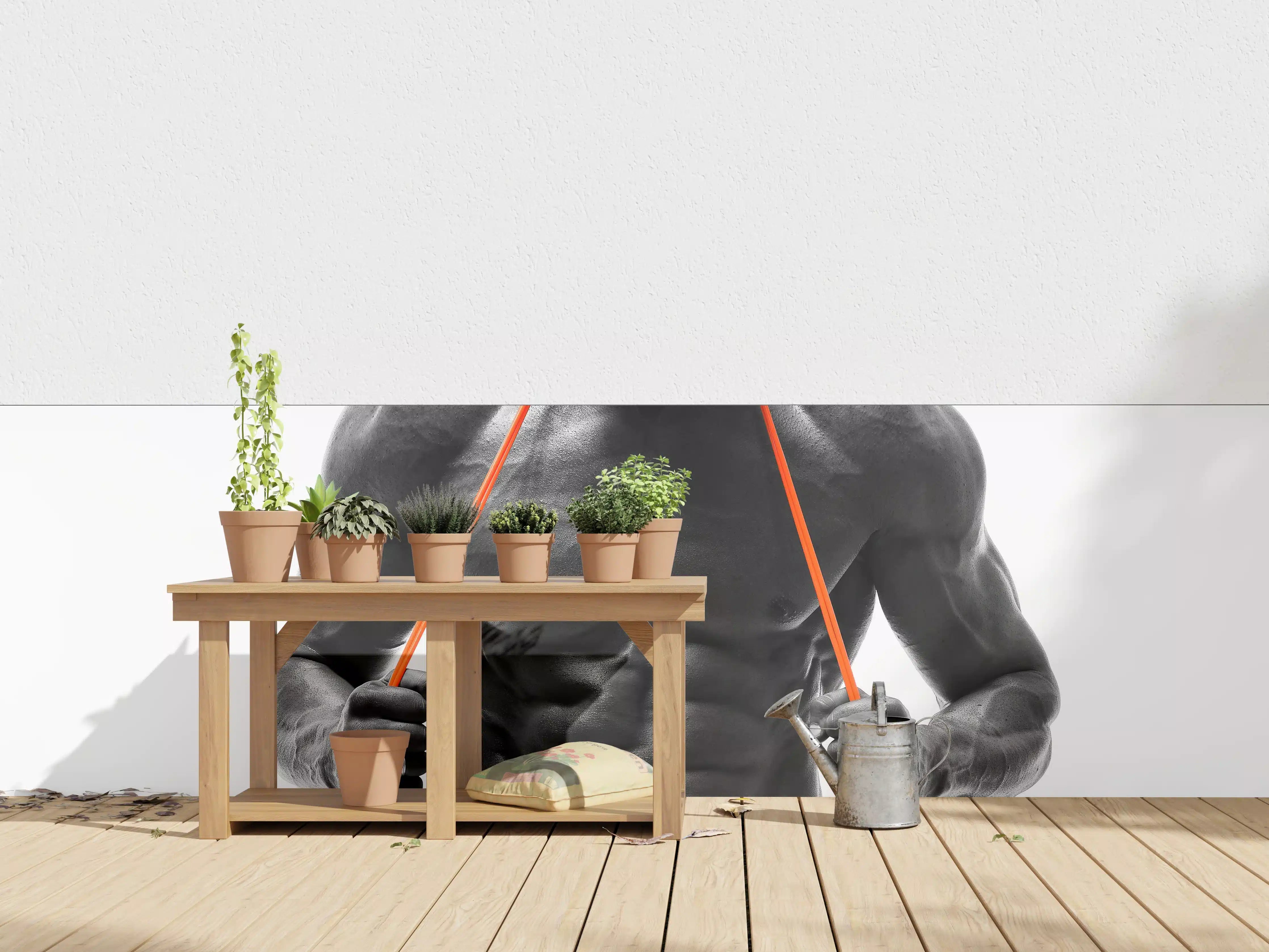 Wandverkleidung außen - Athletischer Mann posiert mit Sprungseil