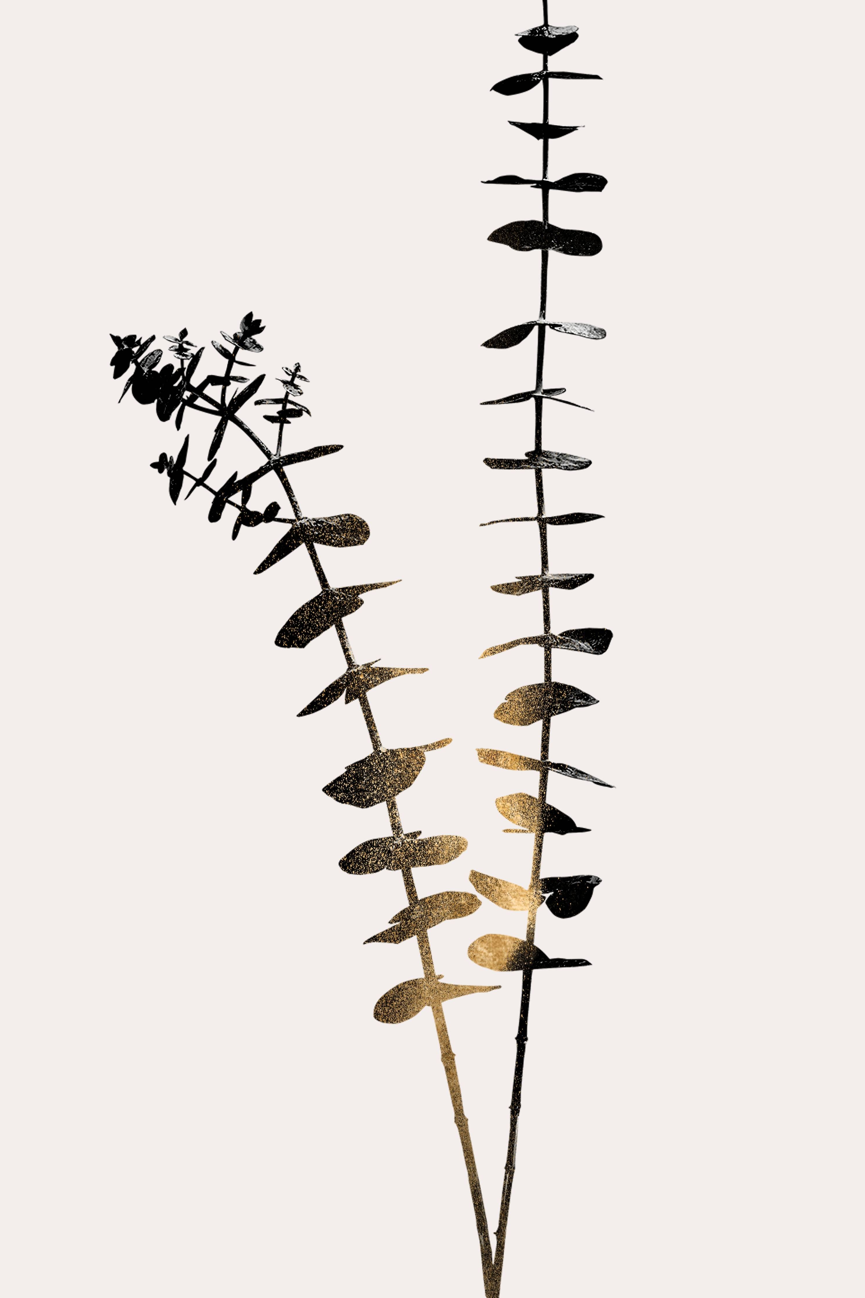 Wandverkleidung außen-Aukalyptus Pflanze - Grafik