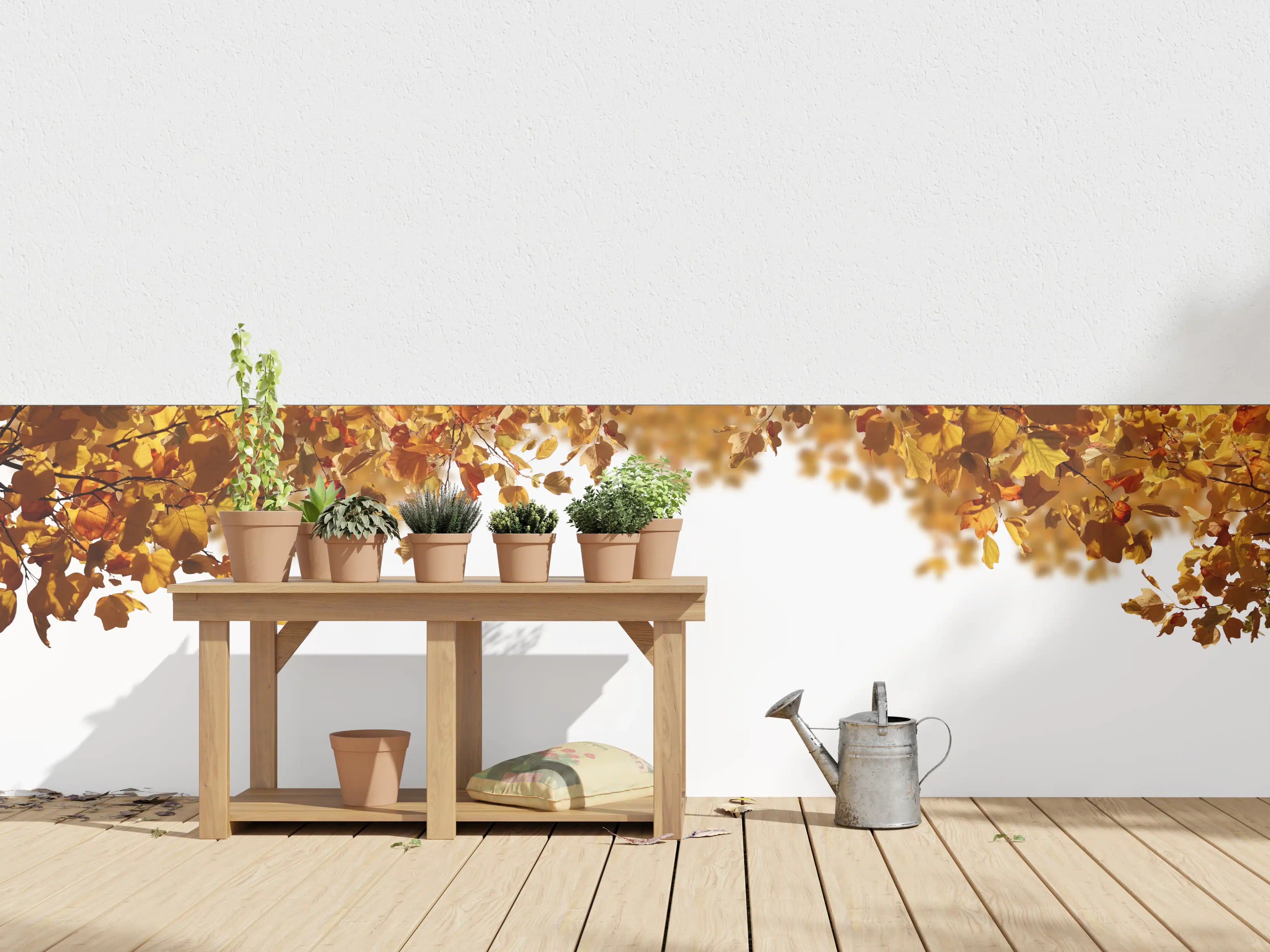 Wandverkleidung außen - Blätter im Herbst