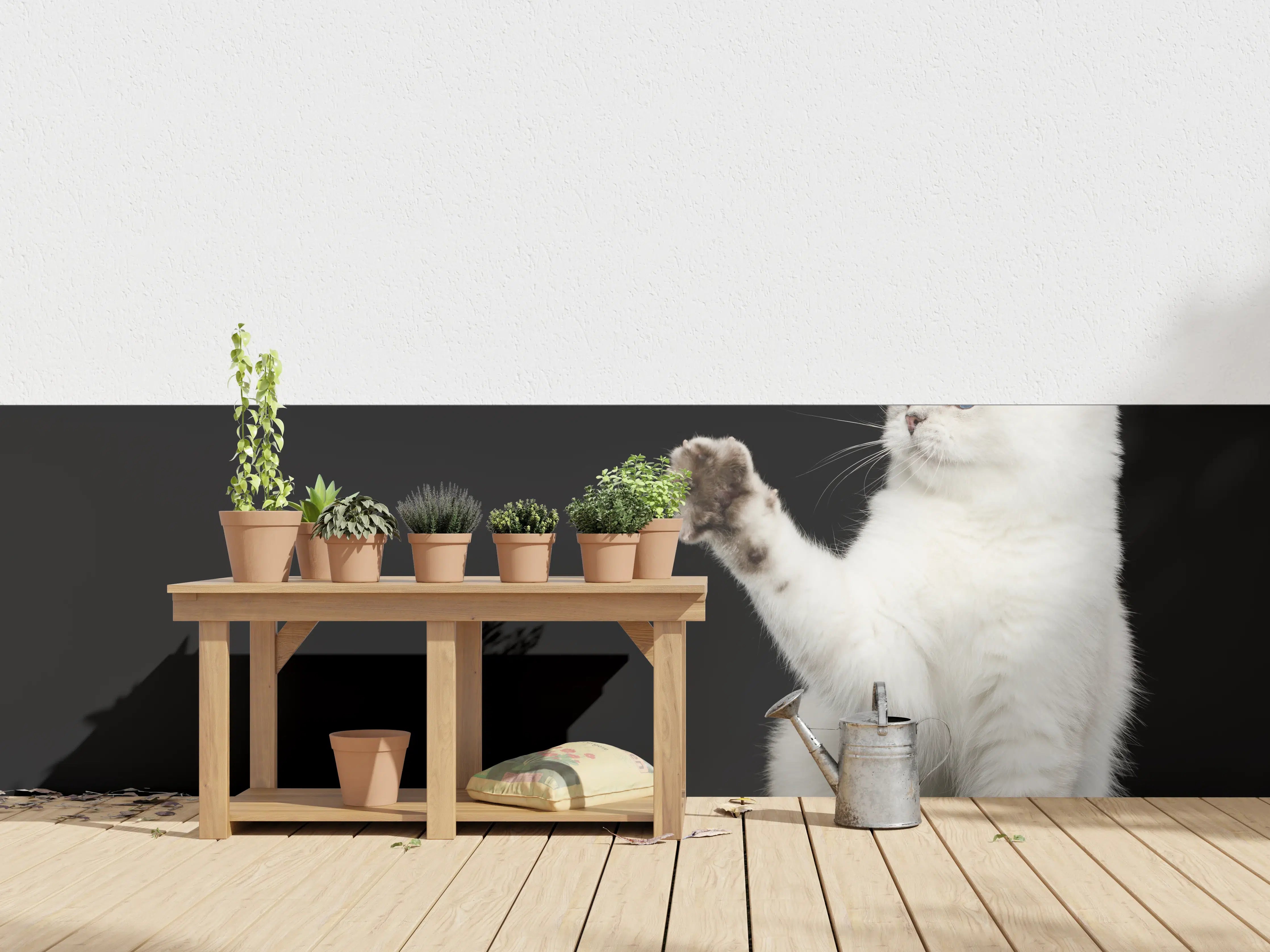 Wandverkleidung außen - British weiße Katze
