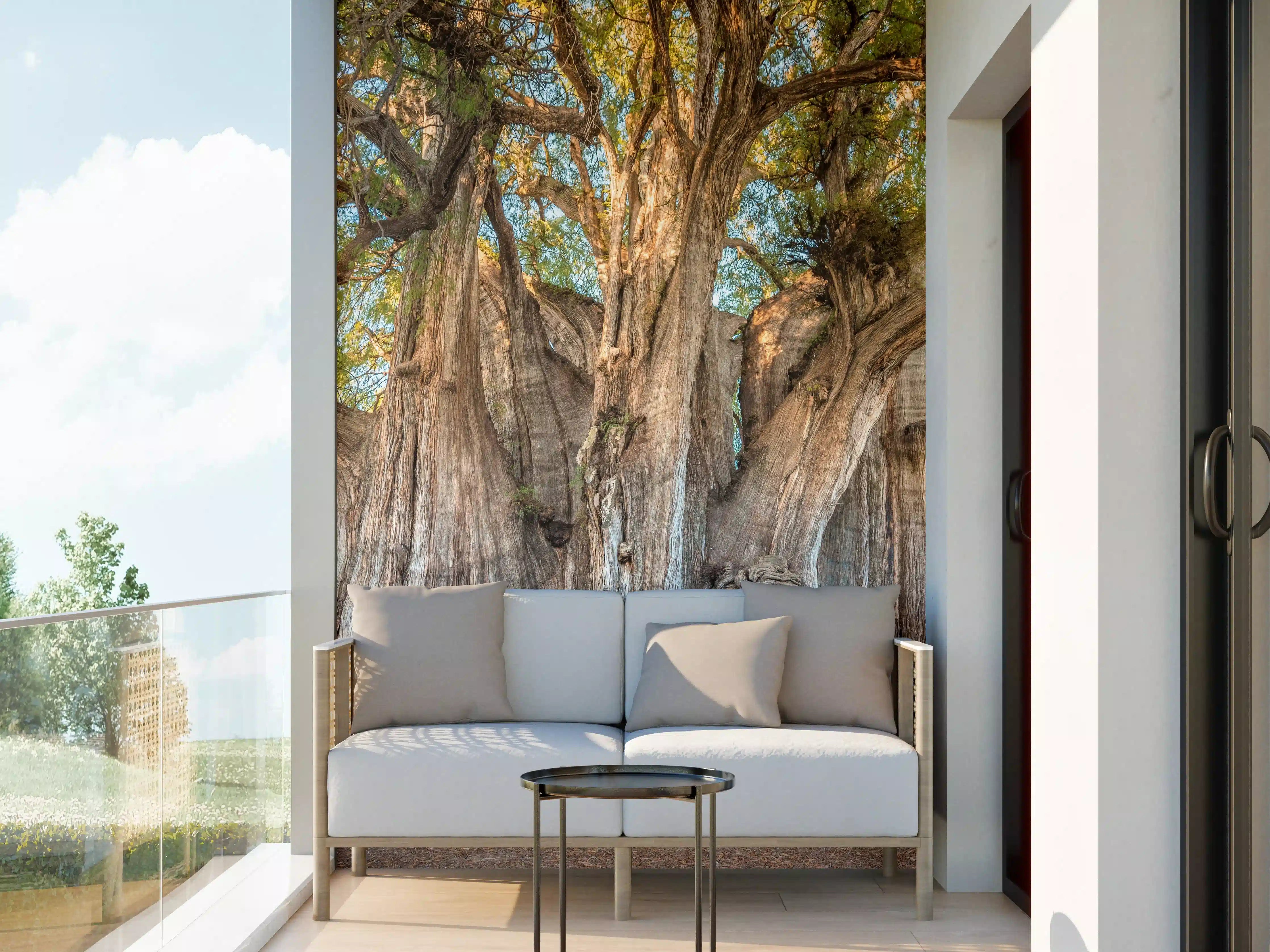 Wandverkleidung außen - Der größte Baum der Welt - Mexico