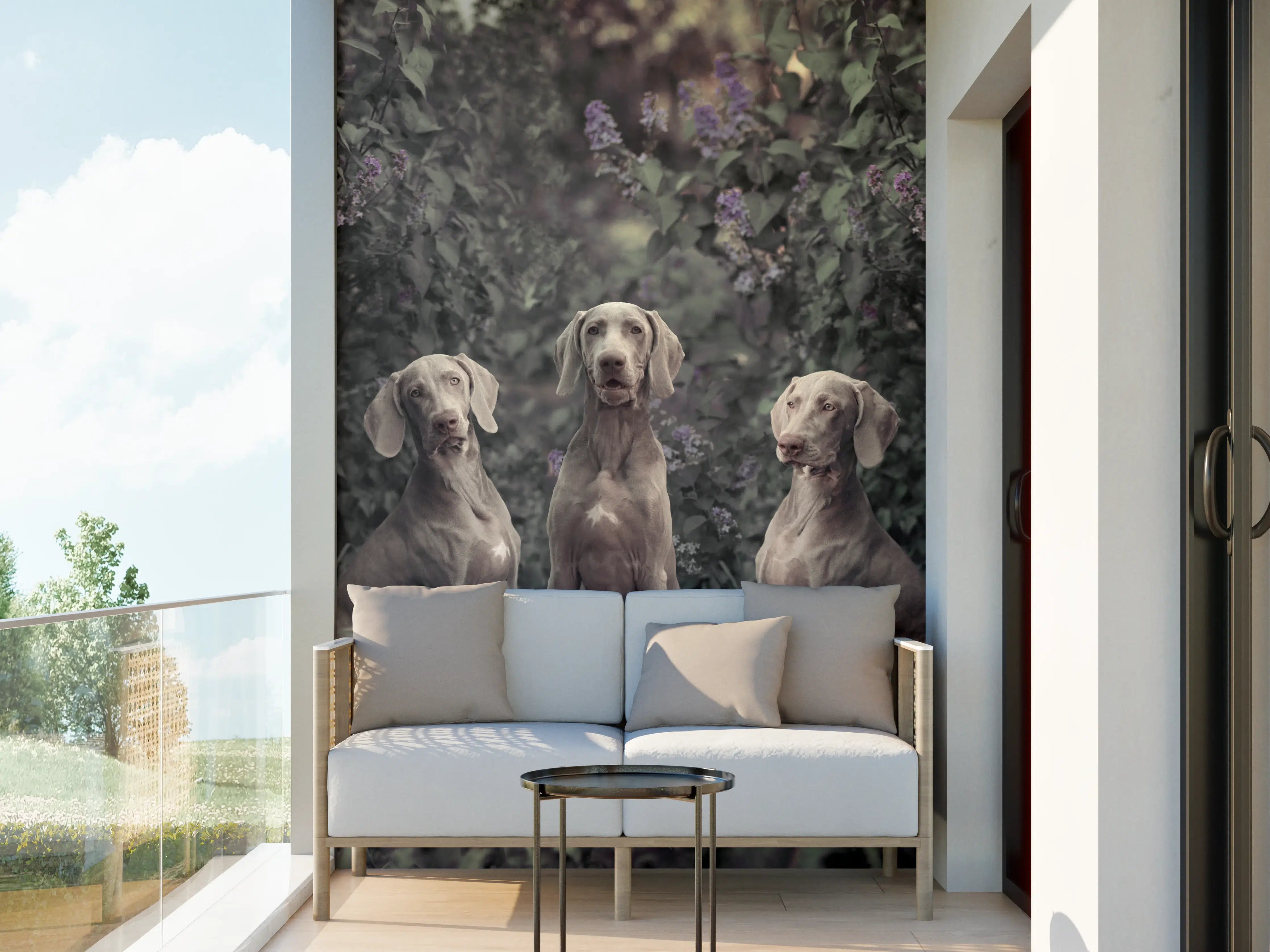 Wandverkleidung außen - Drei Weimaranerhunde sitzend im Fliedergebüsch
